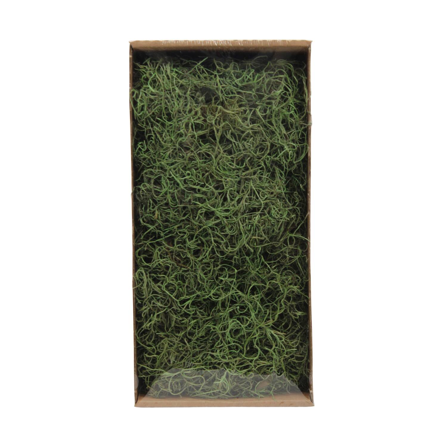 Moss tillandsia 500gr nature 38x19x9cm
