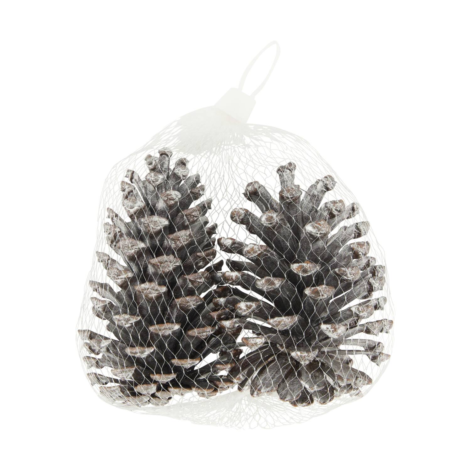 Pinecone nature 13x13x8cm 2pc