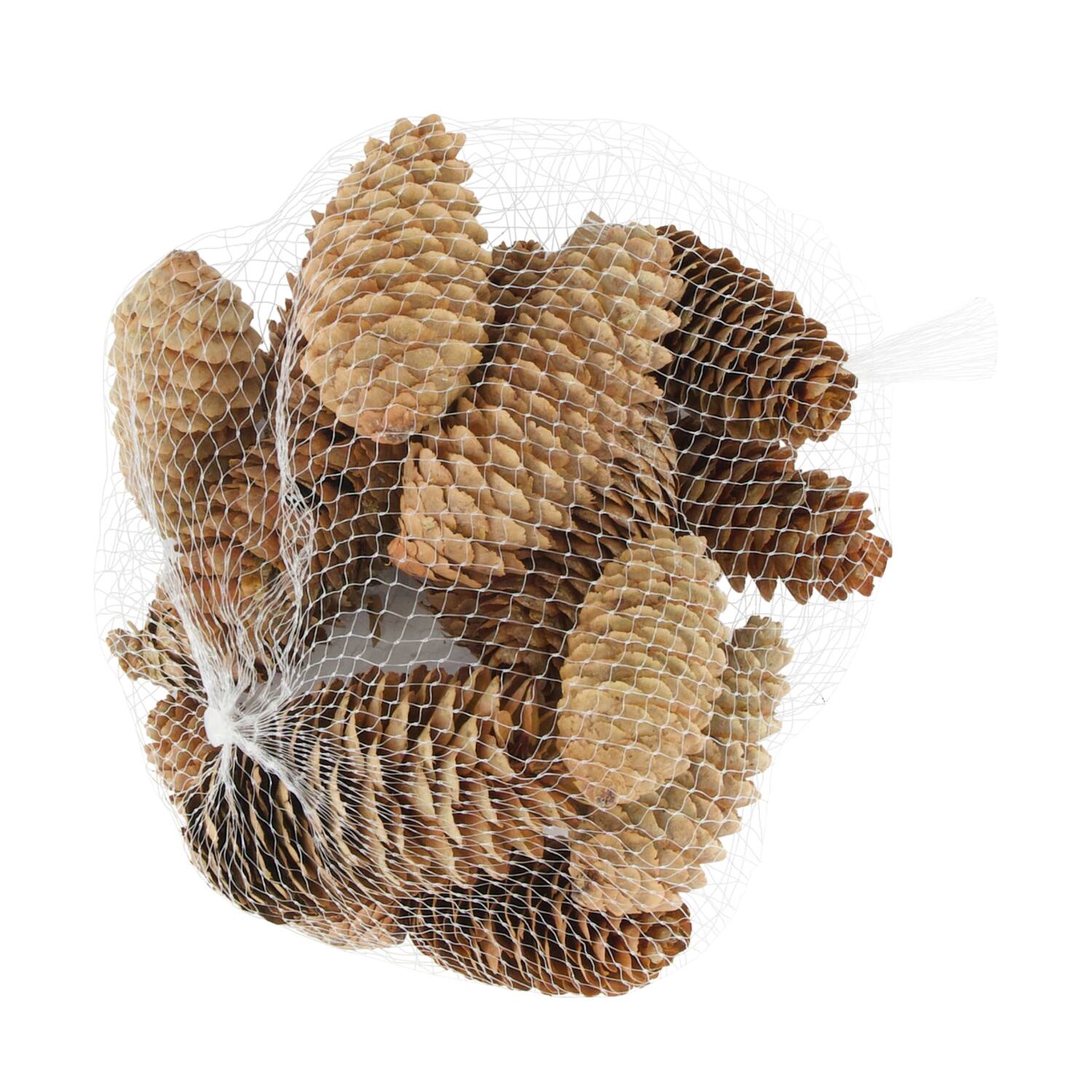 Pinecone 150gr nature 12x12x5cm
