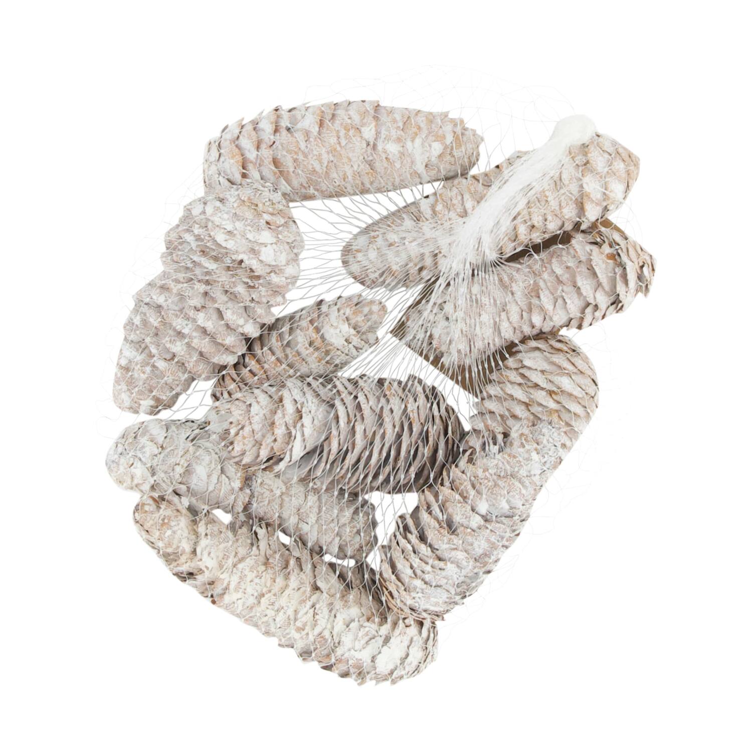 Pinecone 150gr nature 12x12x5cm