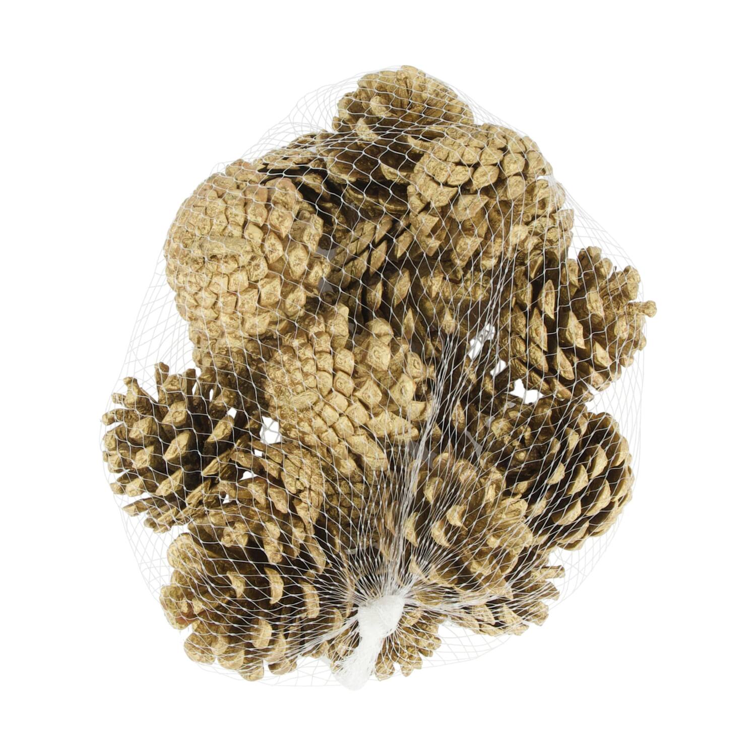 Pinecone 200gr nature 13x13x9cm - Gold
