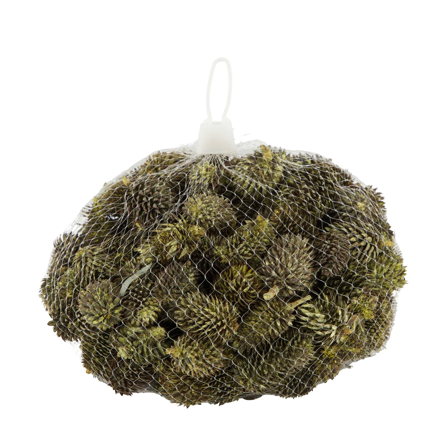 Pinecone 150gr nature 12x12x10cm