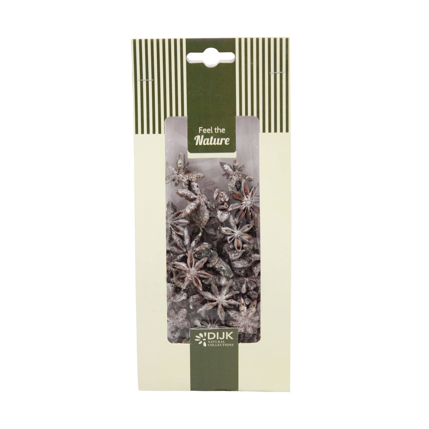 Star anise nature 10x5x22cm 50gr - White