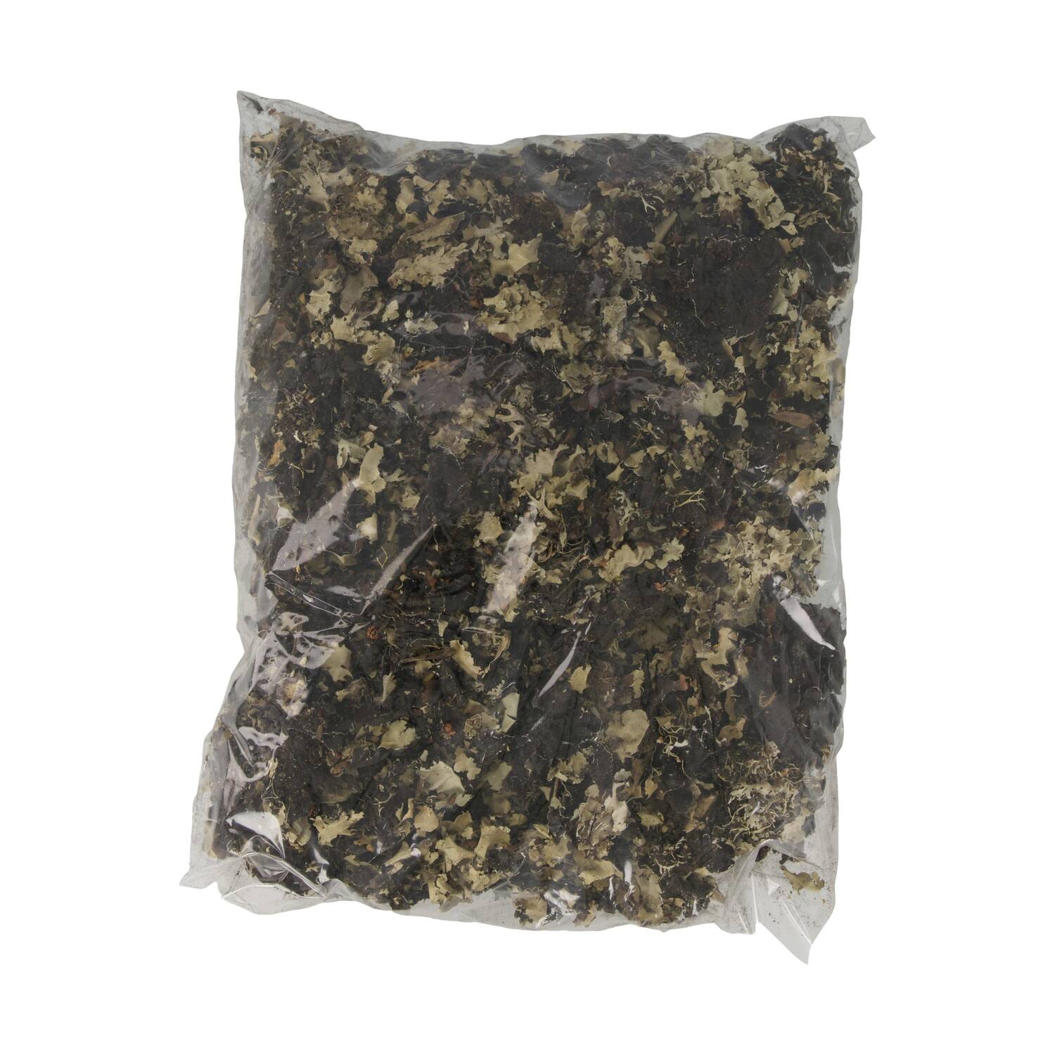 Black moss 250gr - Natural
