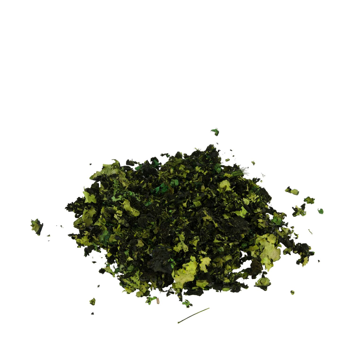 Black moss 250gr - Green