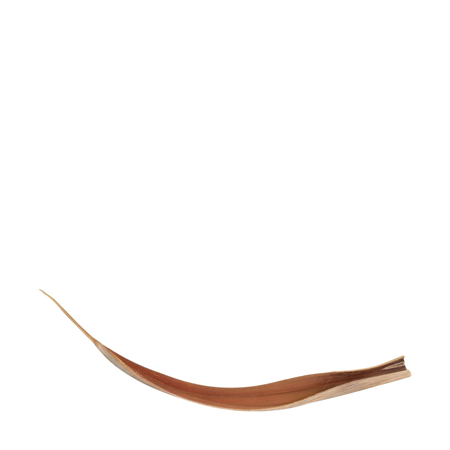Coco giant 140cm - Natural