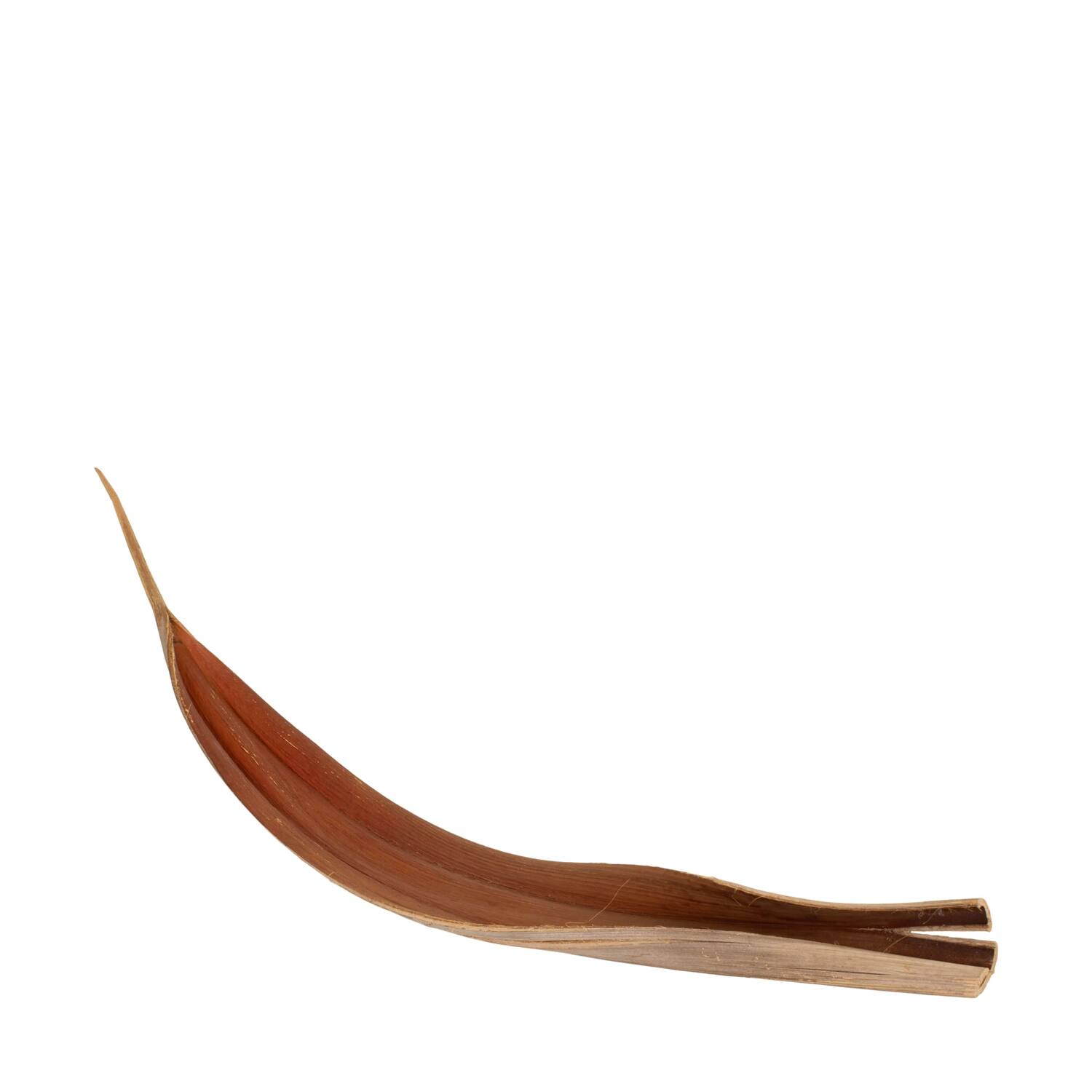 Coco giant 140cm - Natural