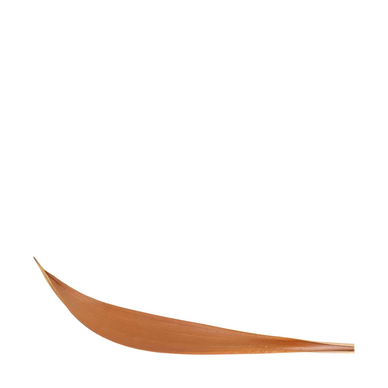 Coco giant 60-80cm