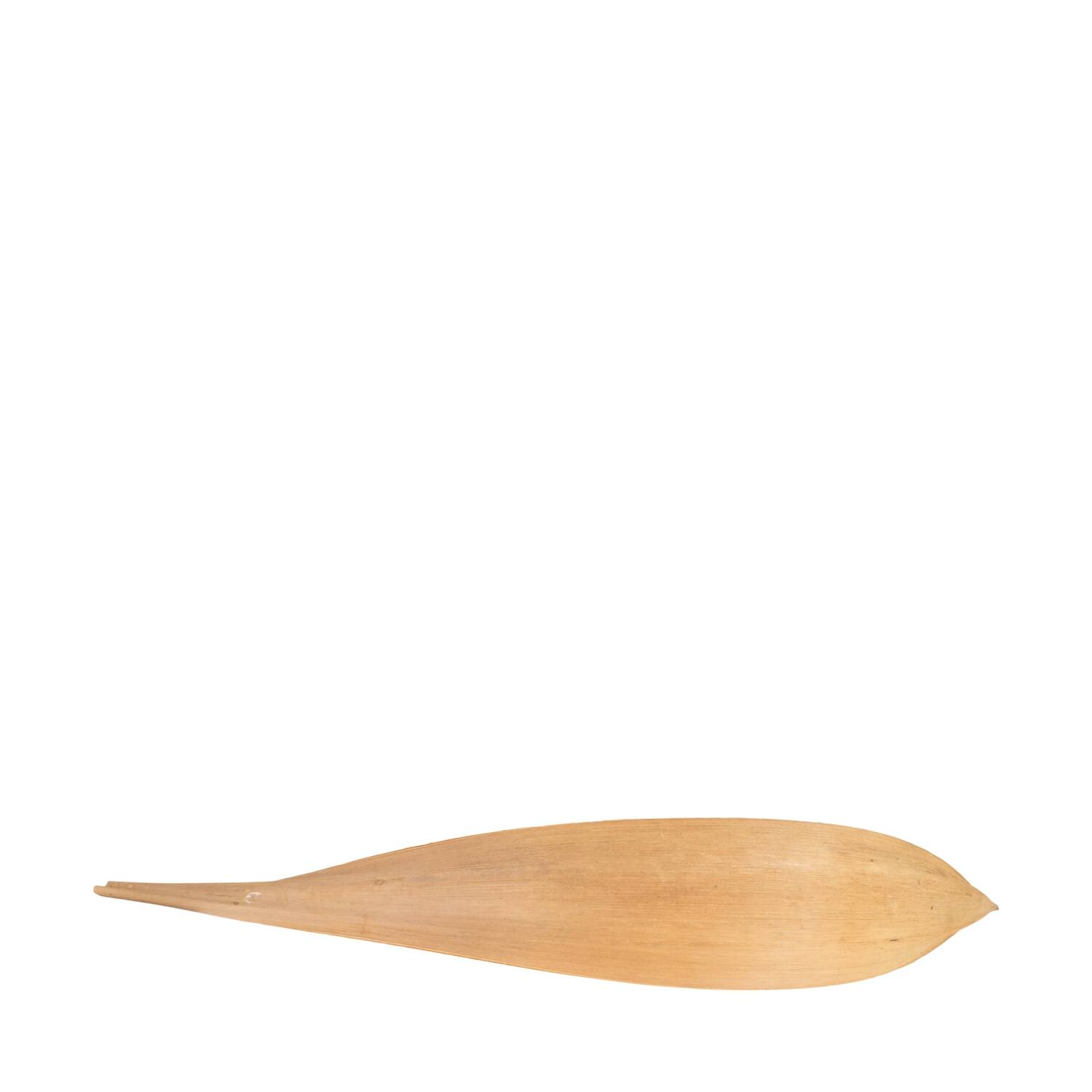 Coco giant 60-80cm