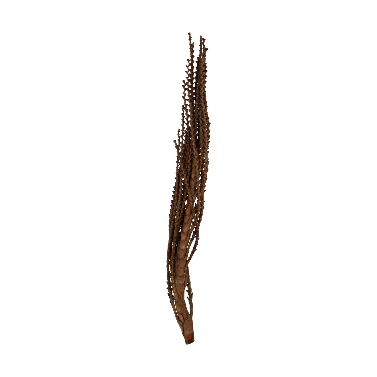 Galho Buriti 150cm 1pc