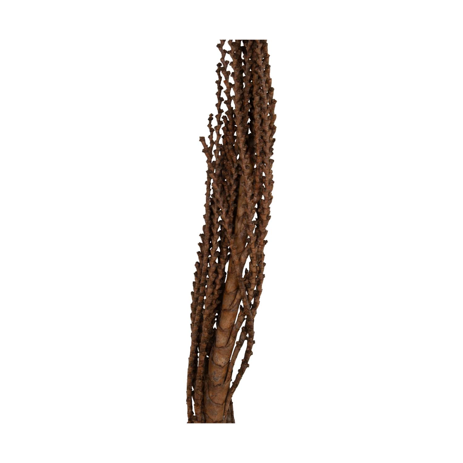 Galho Buriti 150cm 1pc