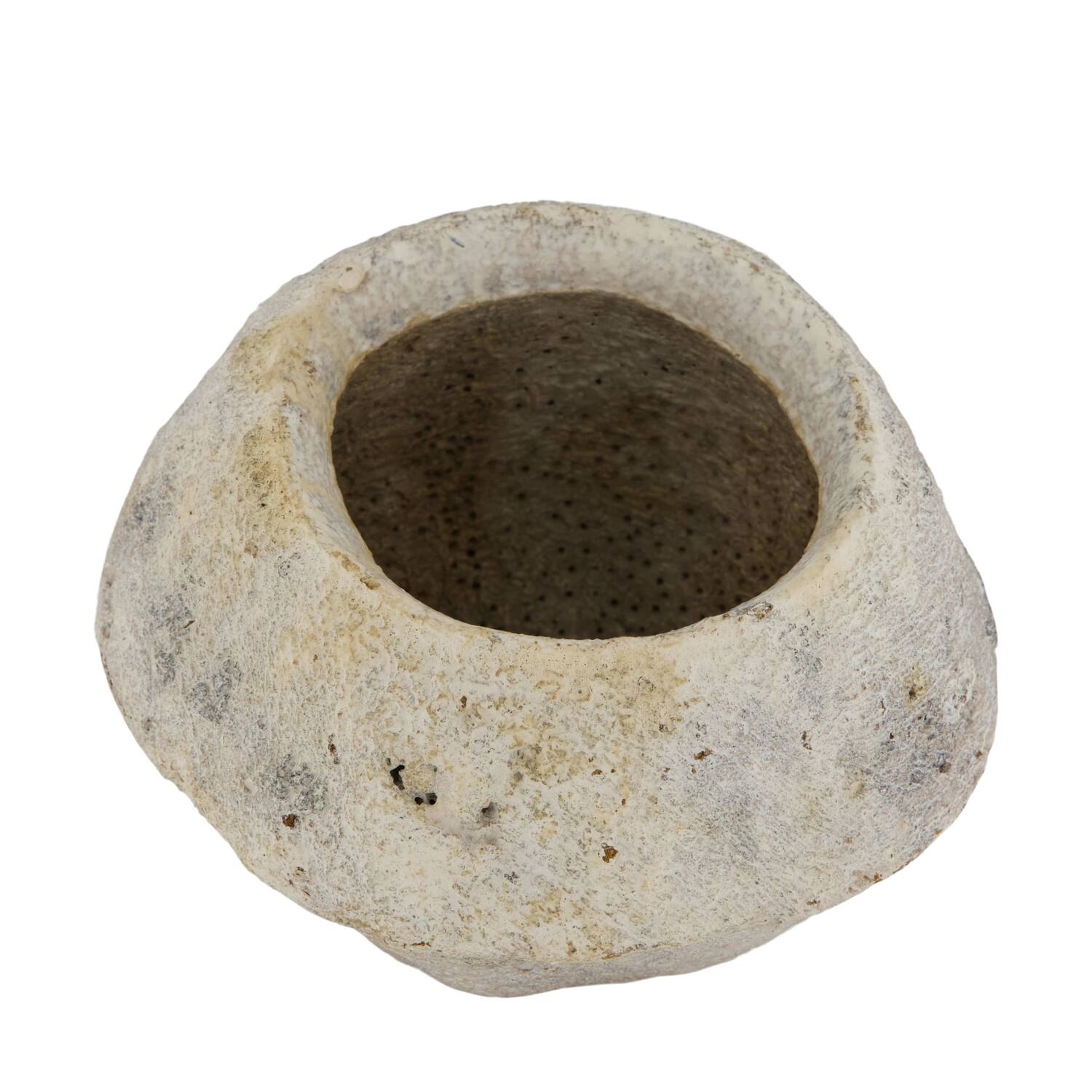 Sapucaja 12-18cm - White
