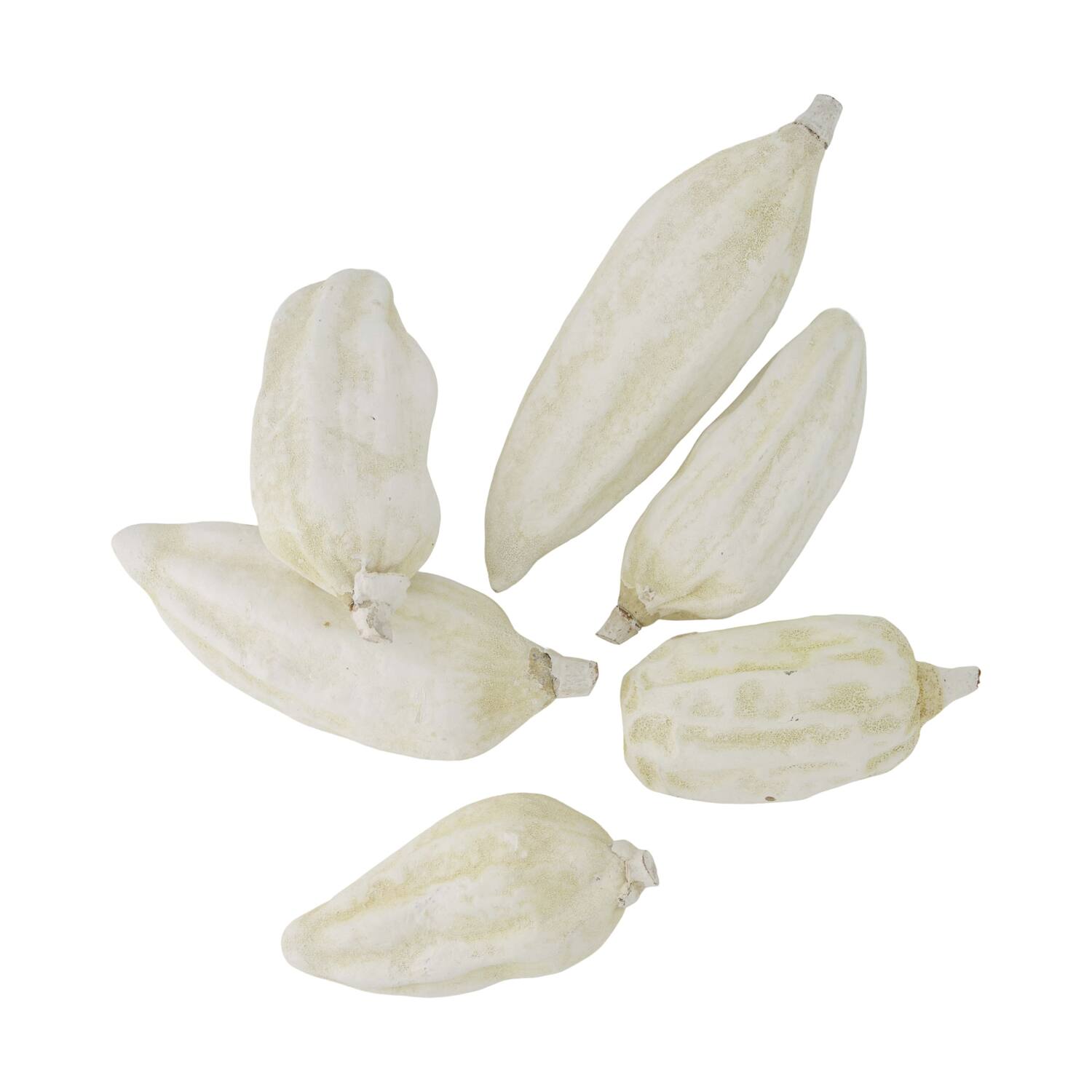 Baobab big 12-20cm 6pc - White