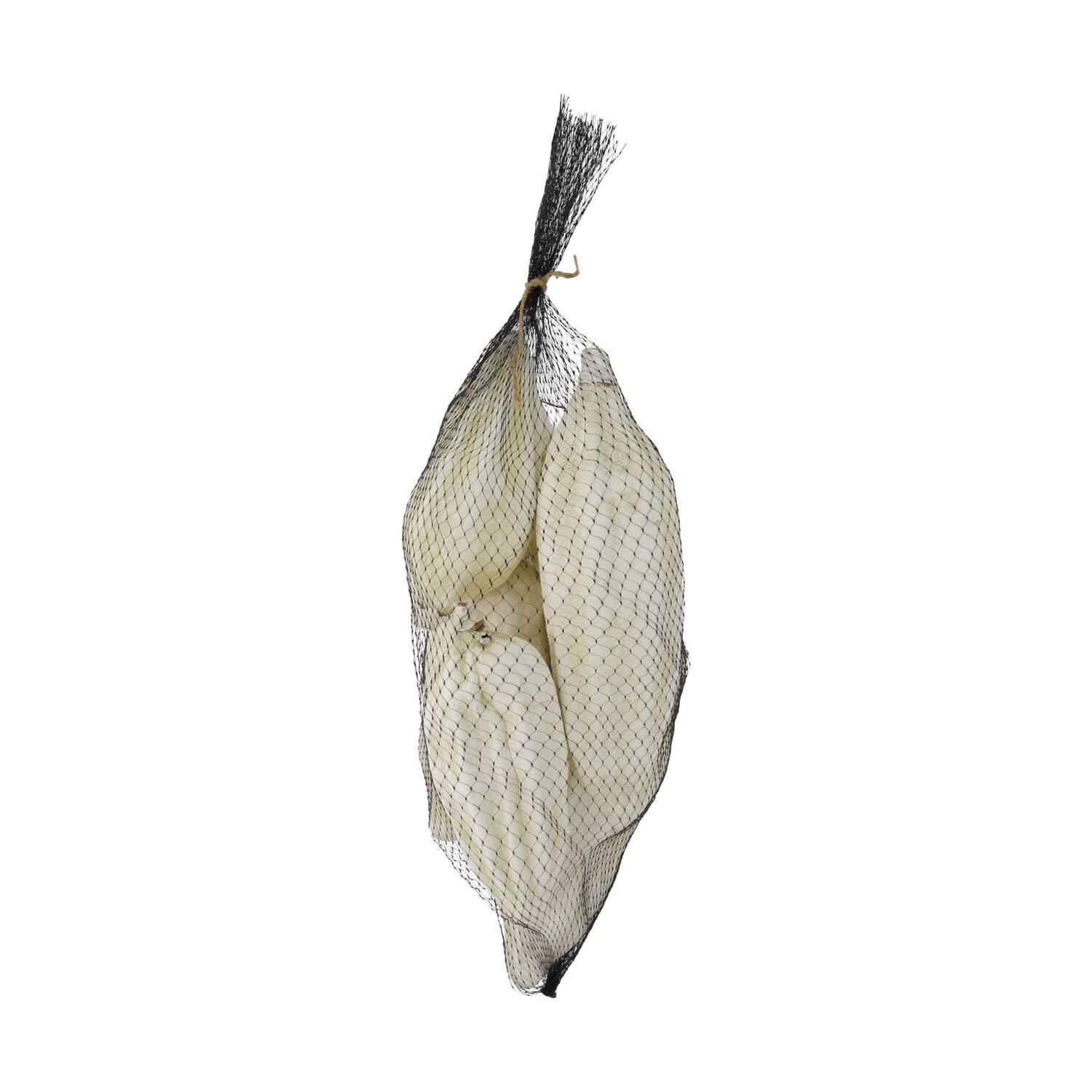 Baobab big 12-20cm 6pc - White