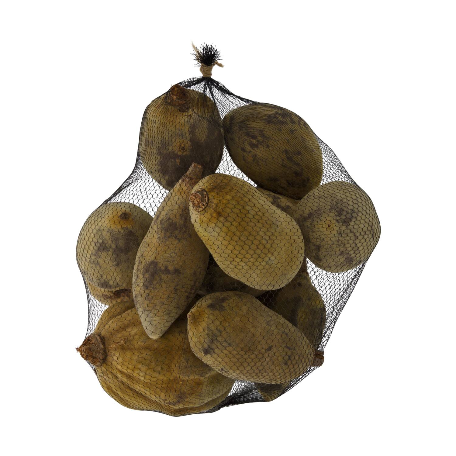 Baobab medium 8-12cm 10pc - Natural