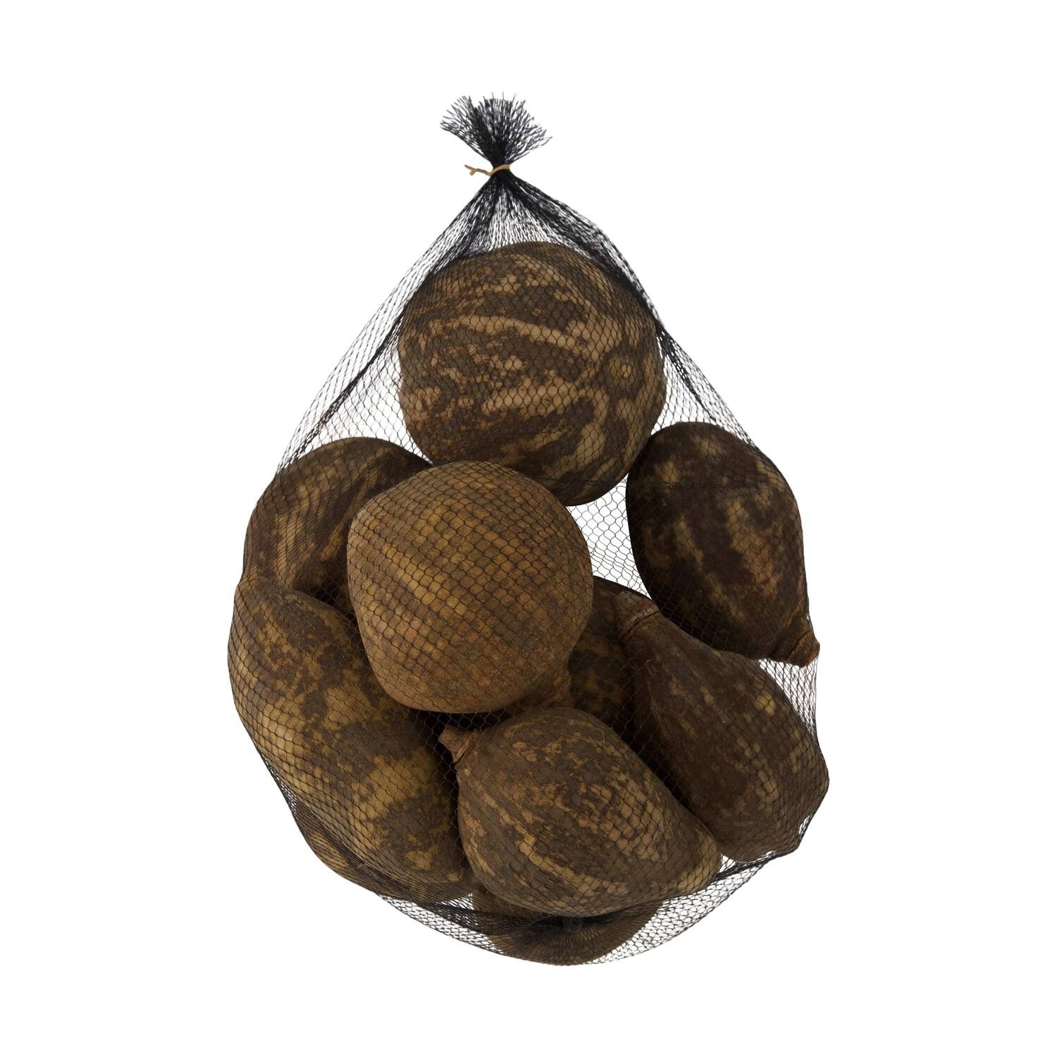 Baobab medium 8-12cm 10pc