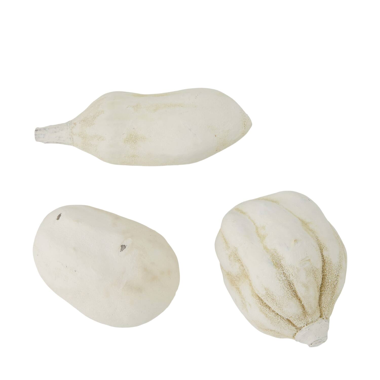 Baobab medium 8-12cm 10pc - White