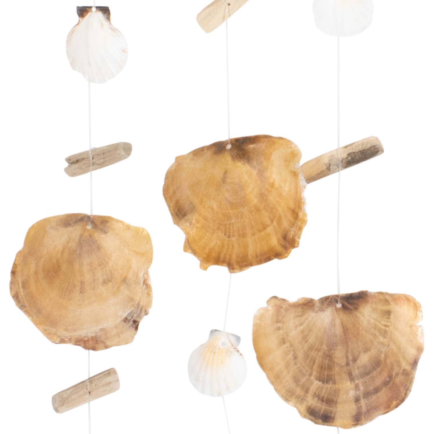Hanger nature with shells 38x2x80cm