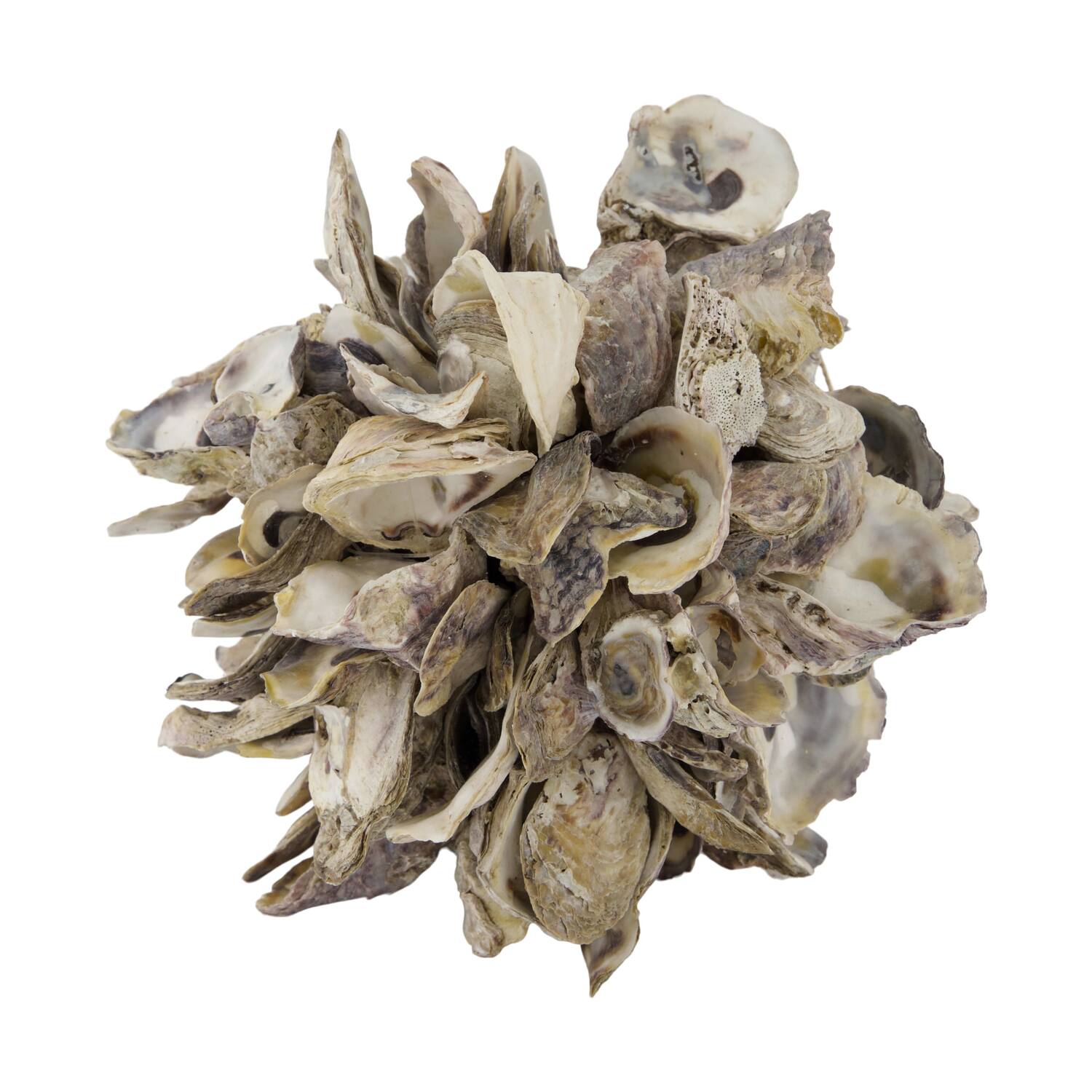 Ball oyster nature 20x20x20cm