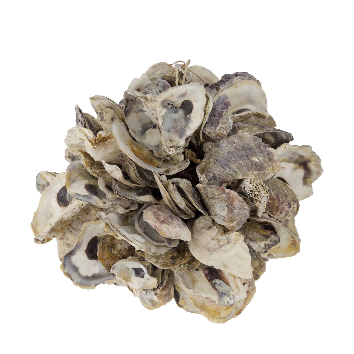 Ball oyster nature 20x20x20cm