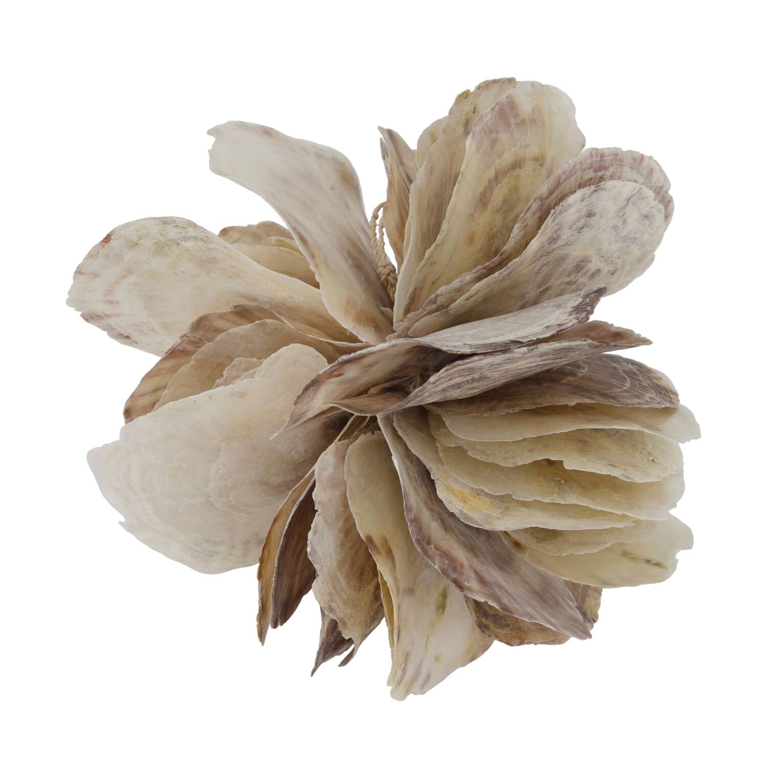 Ball placuna nature 24x24x24cm