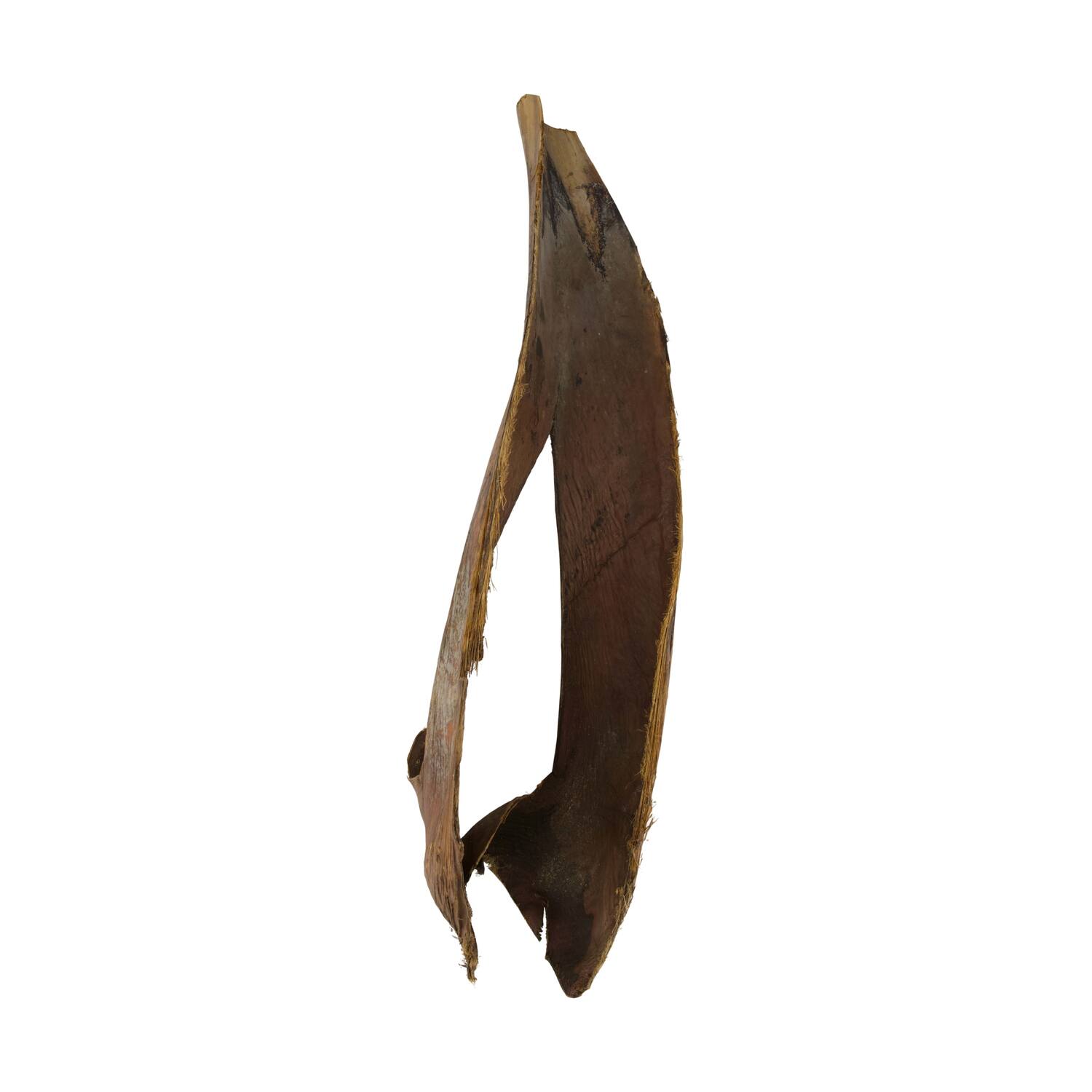 Palmsing 75cm