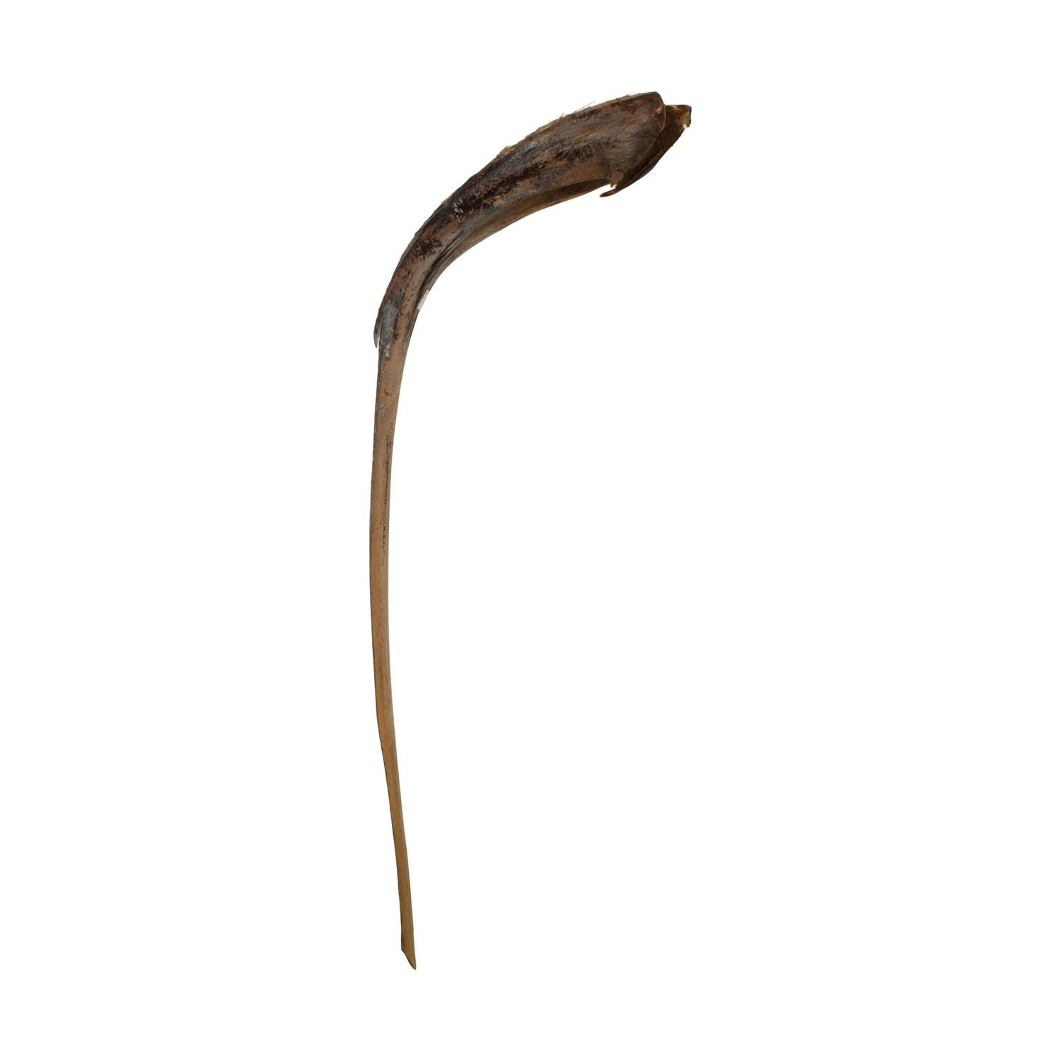 Palmsing 150-180cm - Natural