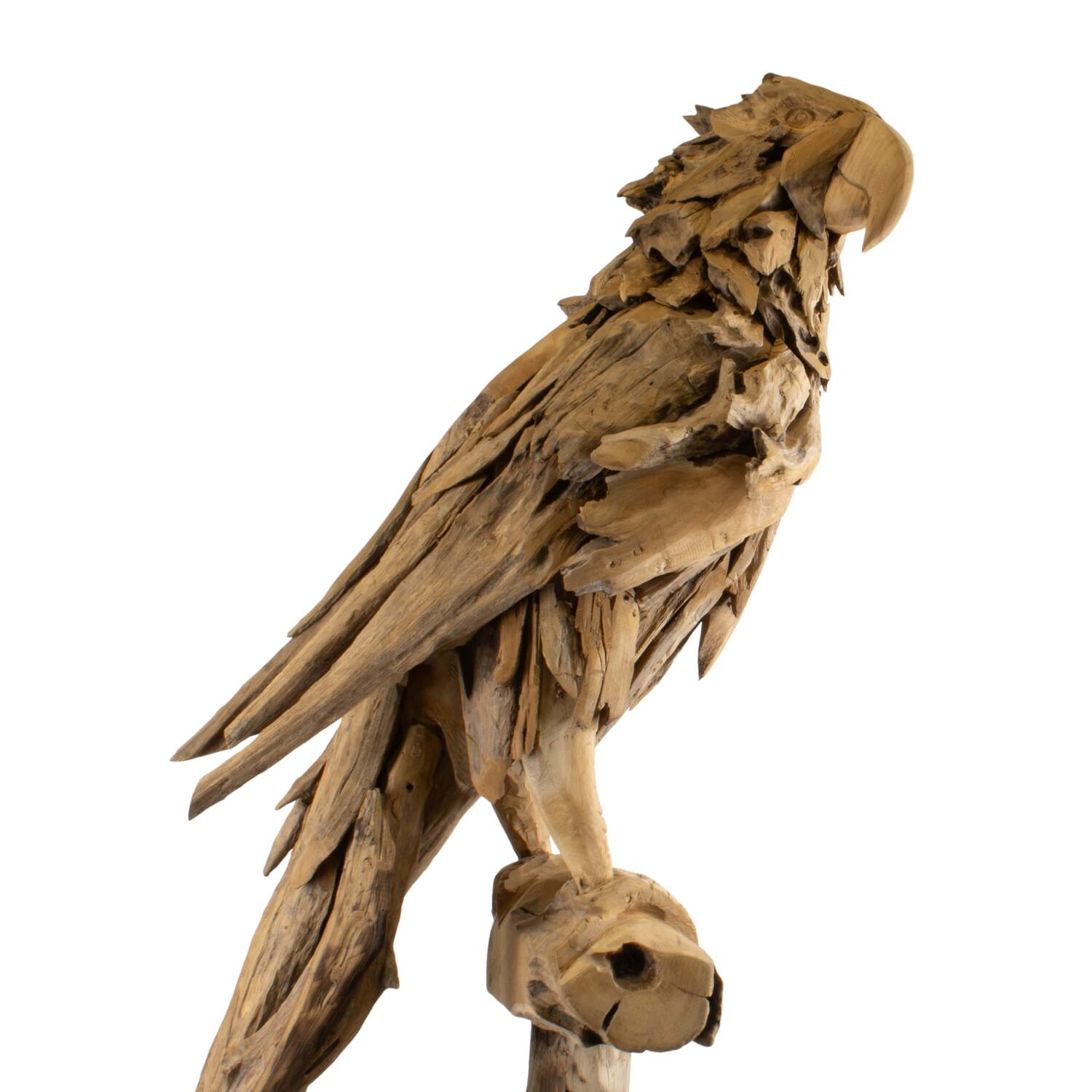 Statue parrot erosion wood on stand 55x68x230cm