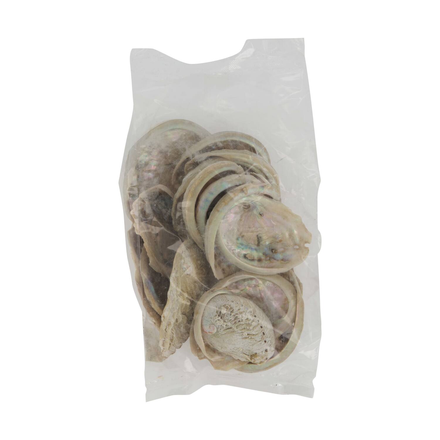 Shell abalone mini nature 21x10x3cm 200gr - Natural