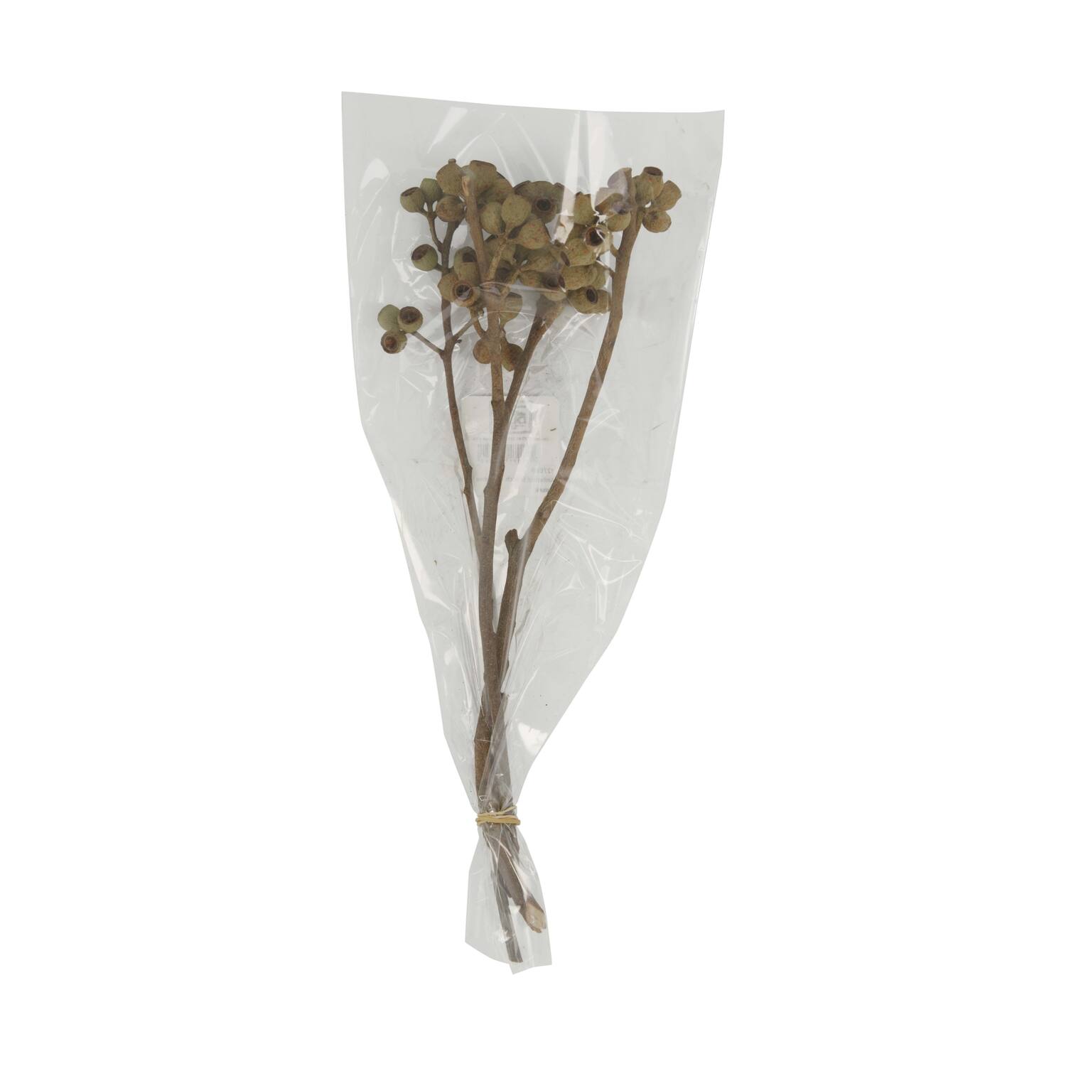 Branch ambernut nature 35x10x6cm