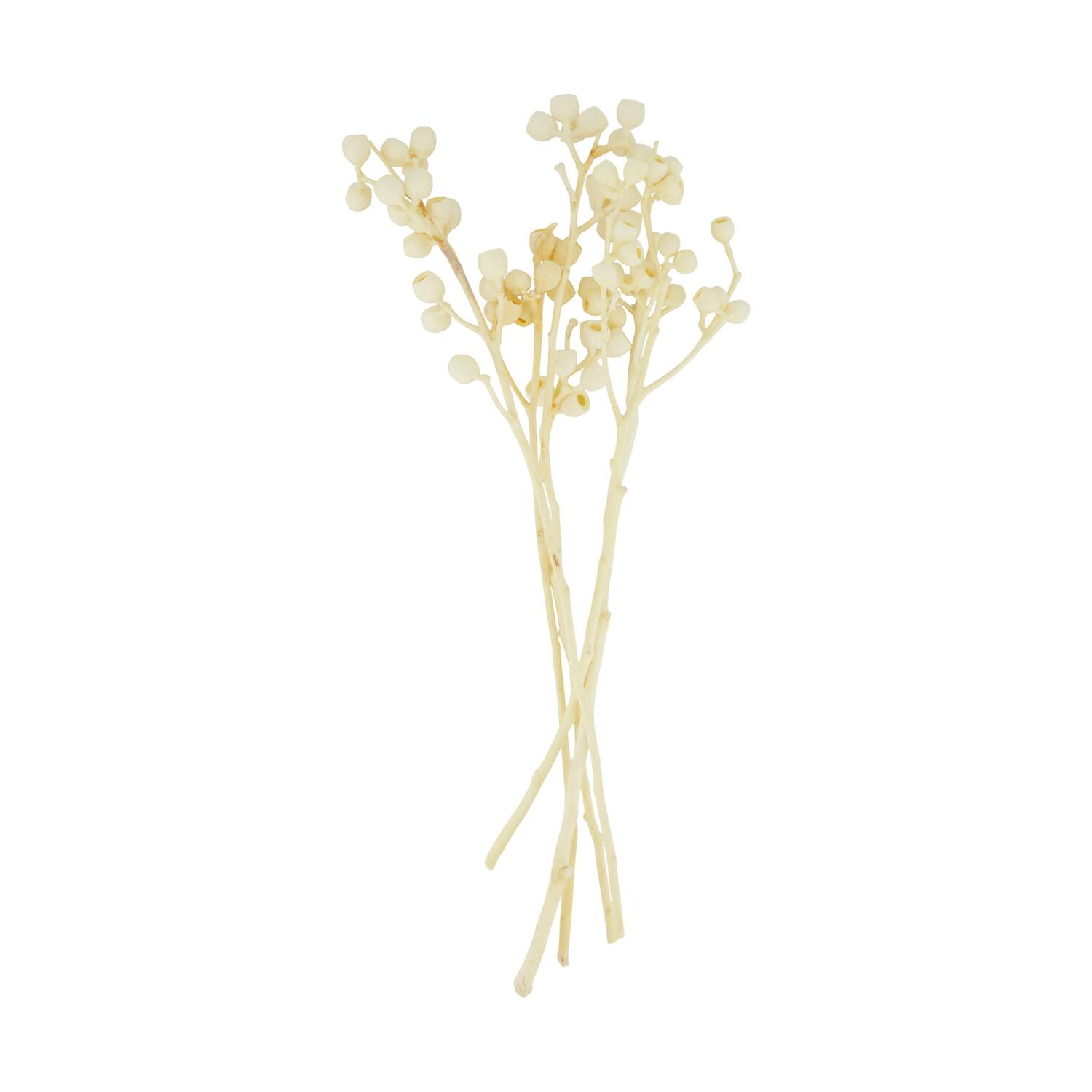 Branch ambernut nature 35x15x8cm