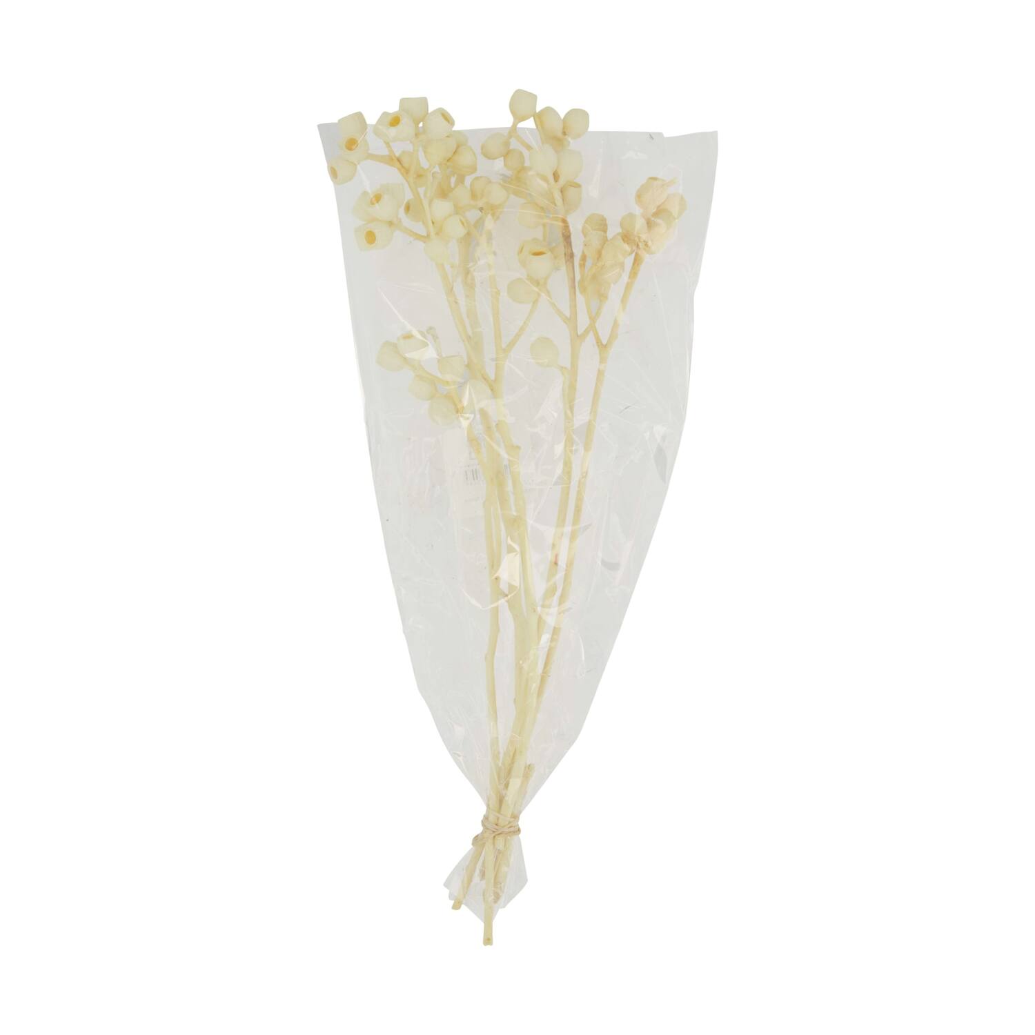 Branch ambernut nature 35x15x8cm