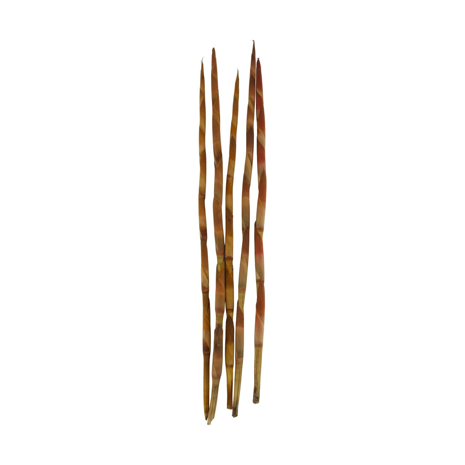 Assegaai 80x10x3cm 5pc - Natural