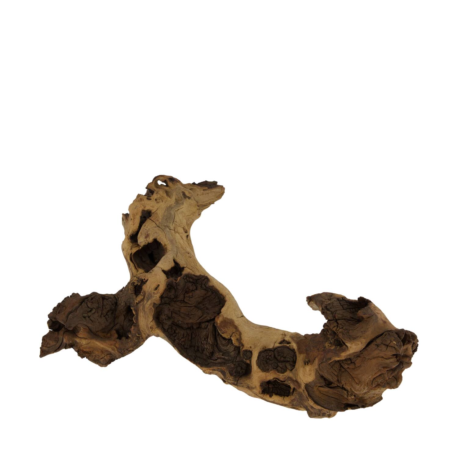 Driftwood 30x15x10cm 1kg