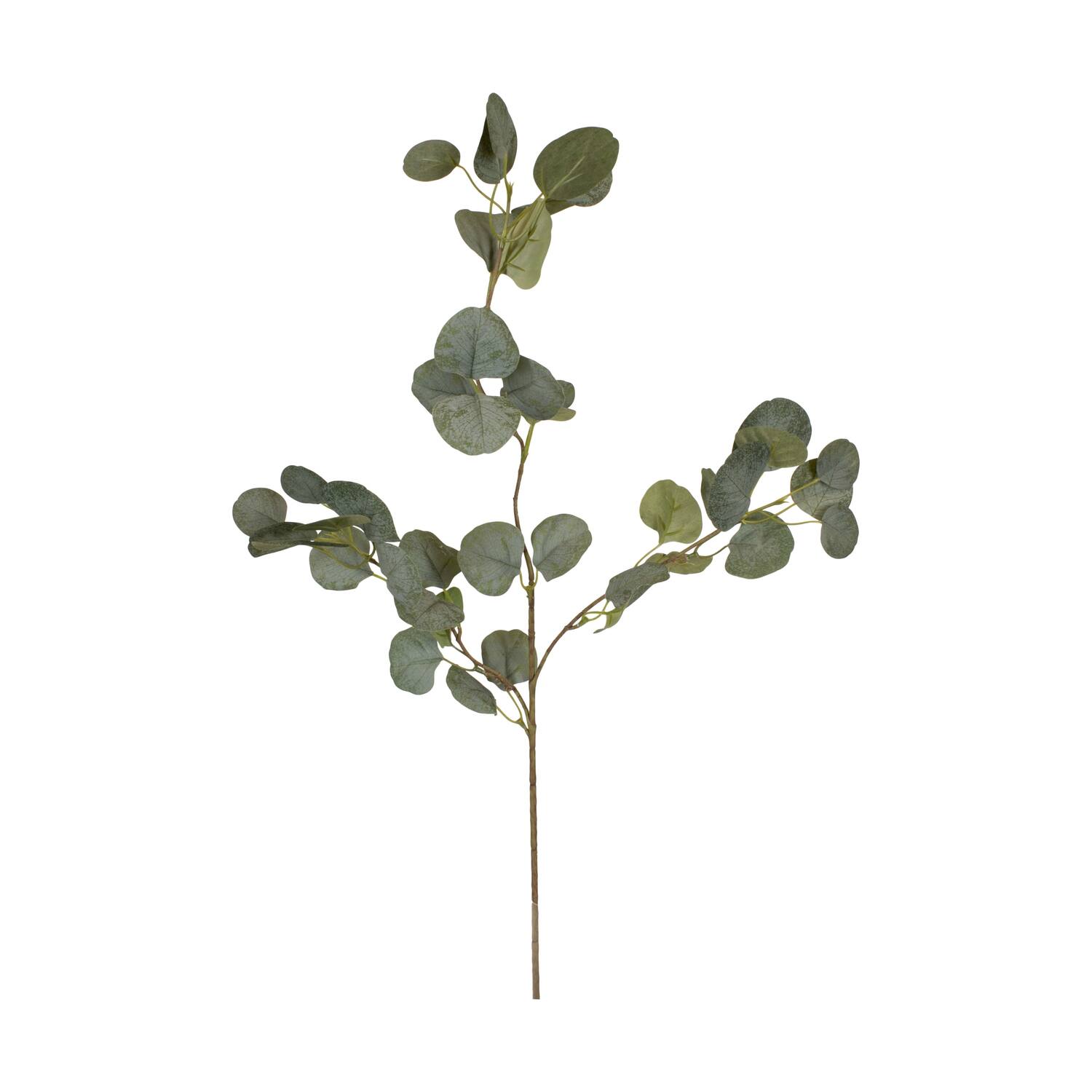 Branch eucalyptus artificial 85x30x5cm - Green