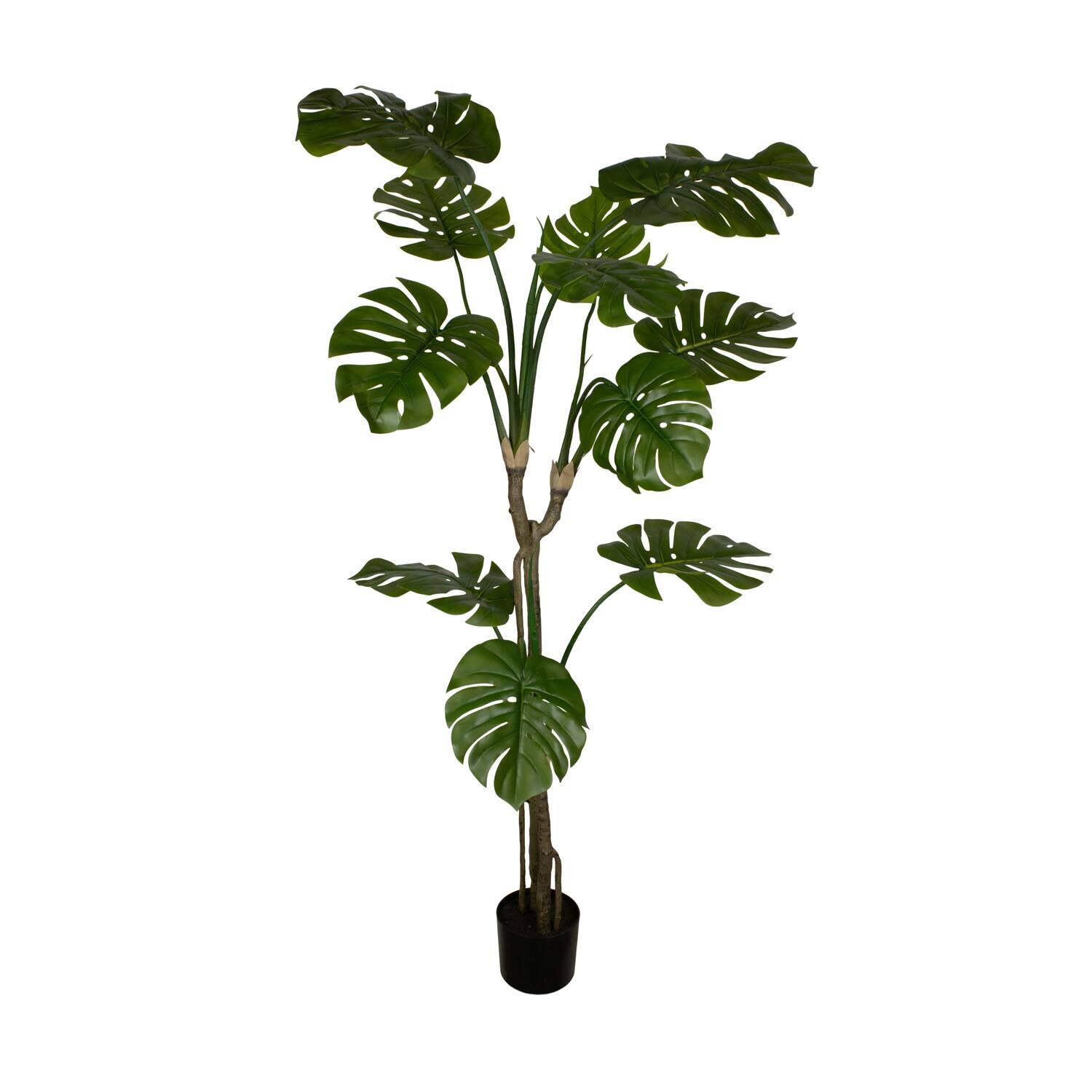 Plant monstera artificial 200x90x30cm - Green