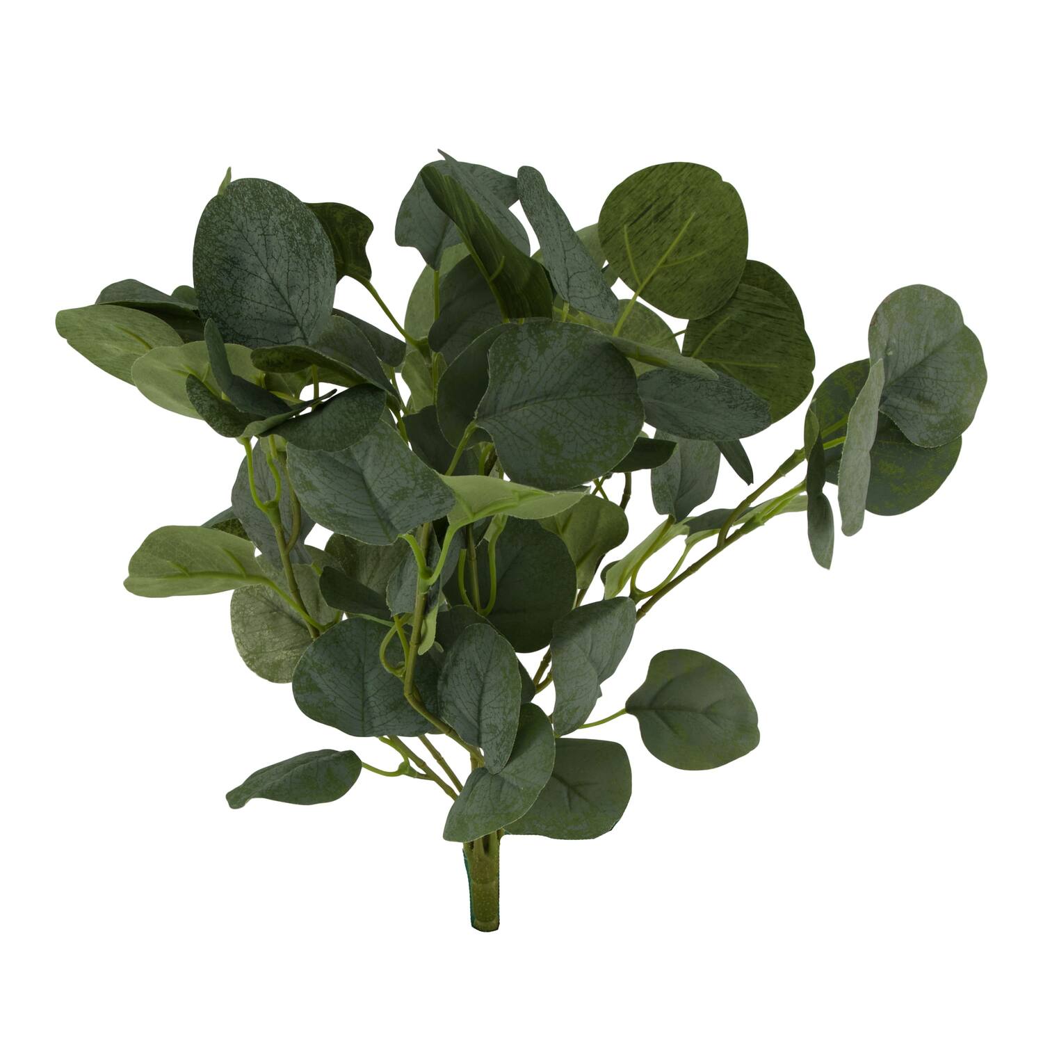 Branch eucalyptus artificial 40x35x5cm - Green
