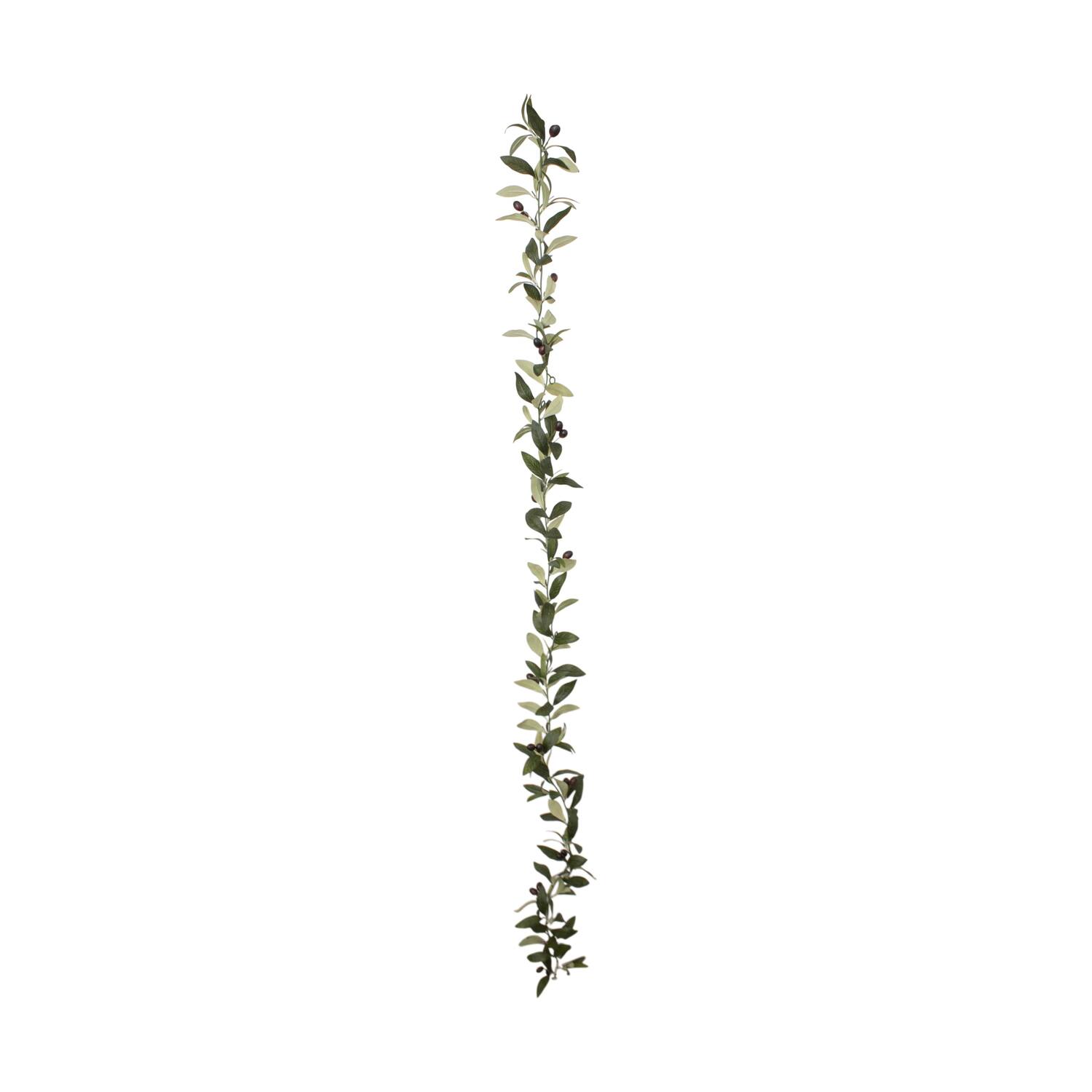 Leaf artificial with hanger 170x5x5cm - Green