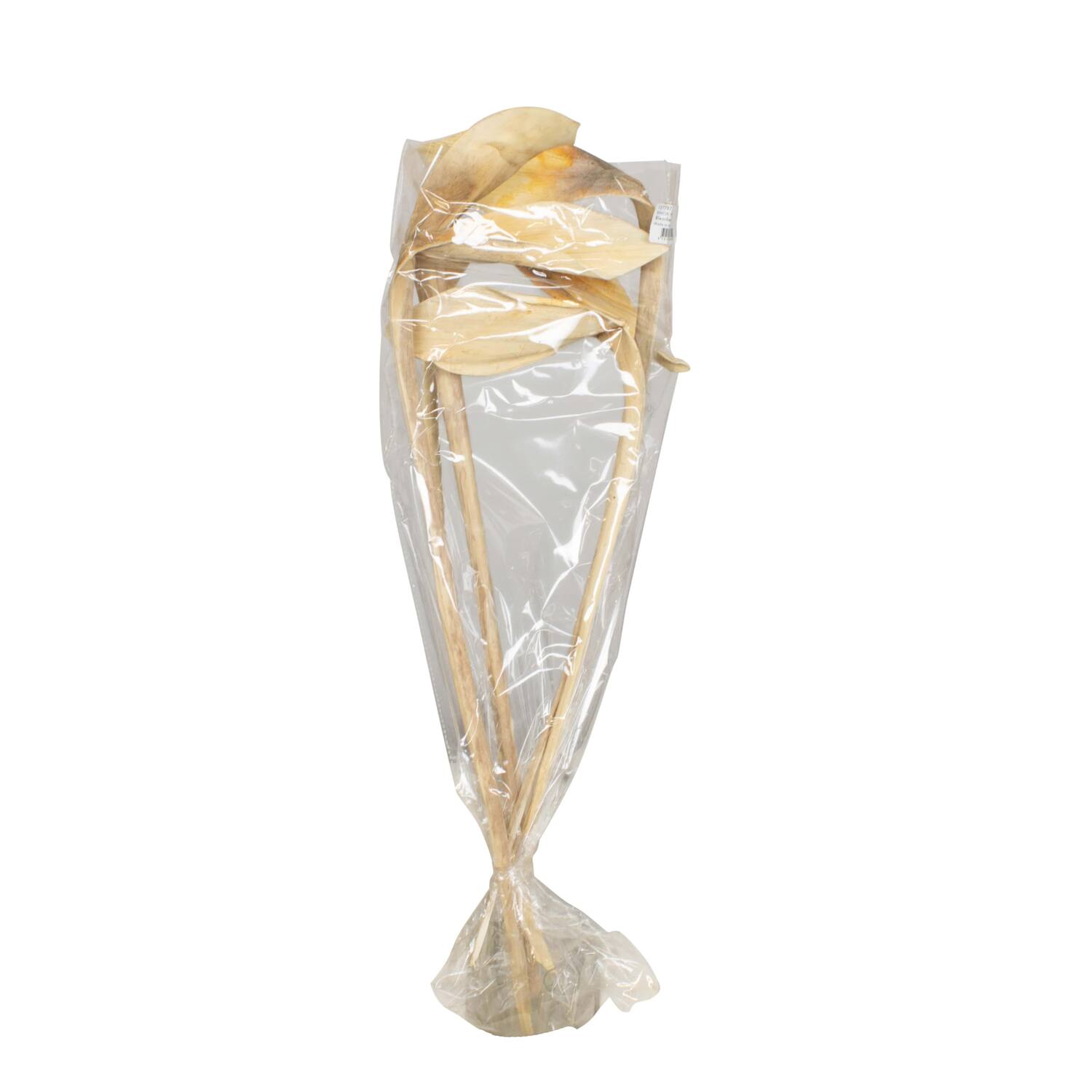 Branch shoe horn nature 67x20x8cm 5pc - Cream