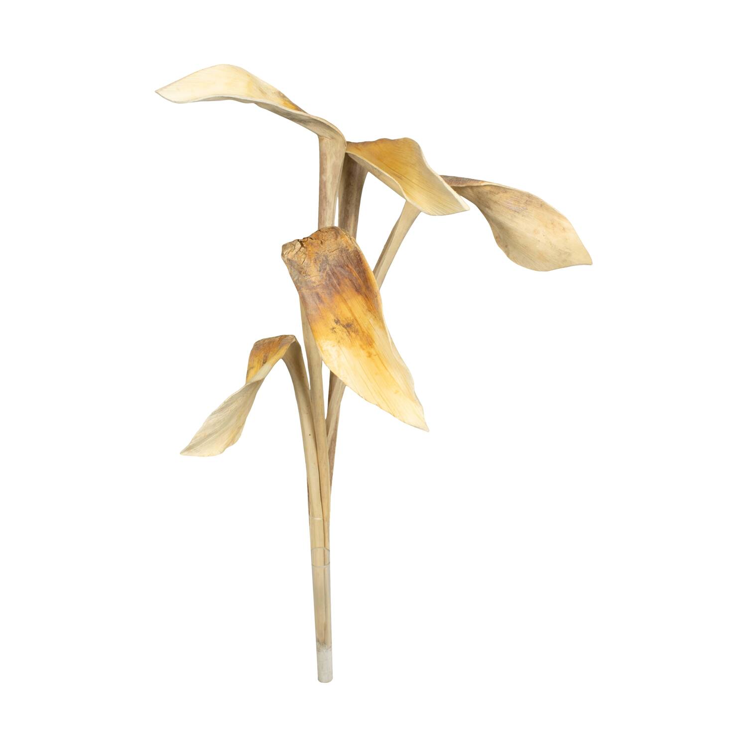 Branch shoe horn nature 67x20x8cm 5pc - Cream