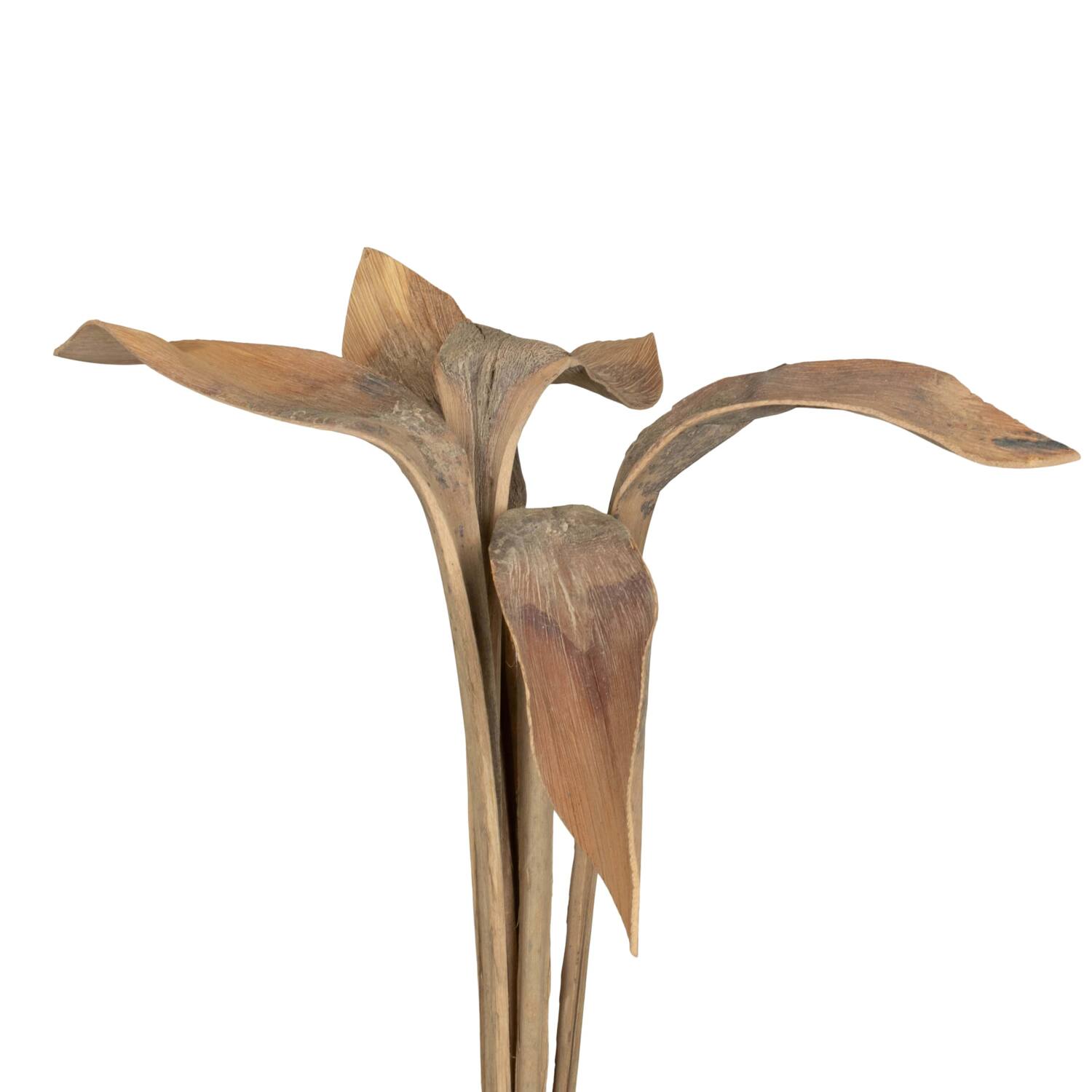 Branch shoe horn nature 74x20x10cm 5pc - Cream
