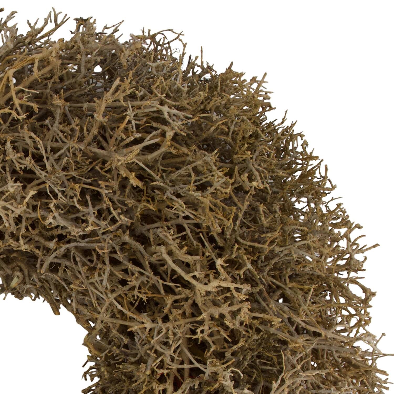 Wreath dry tree nature 55x55x13cm