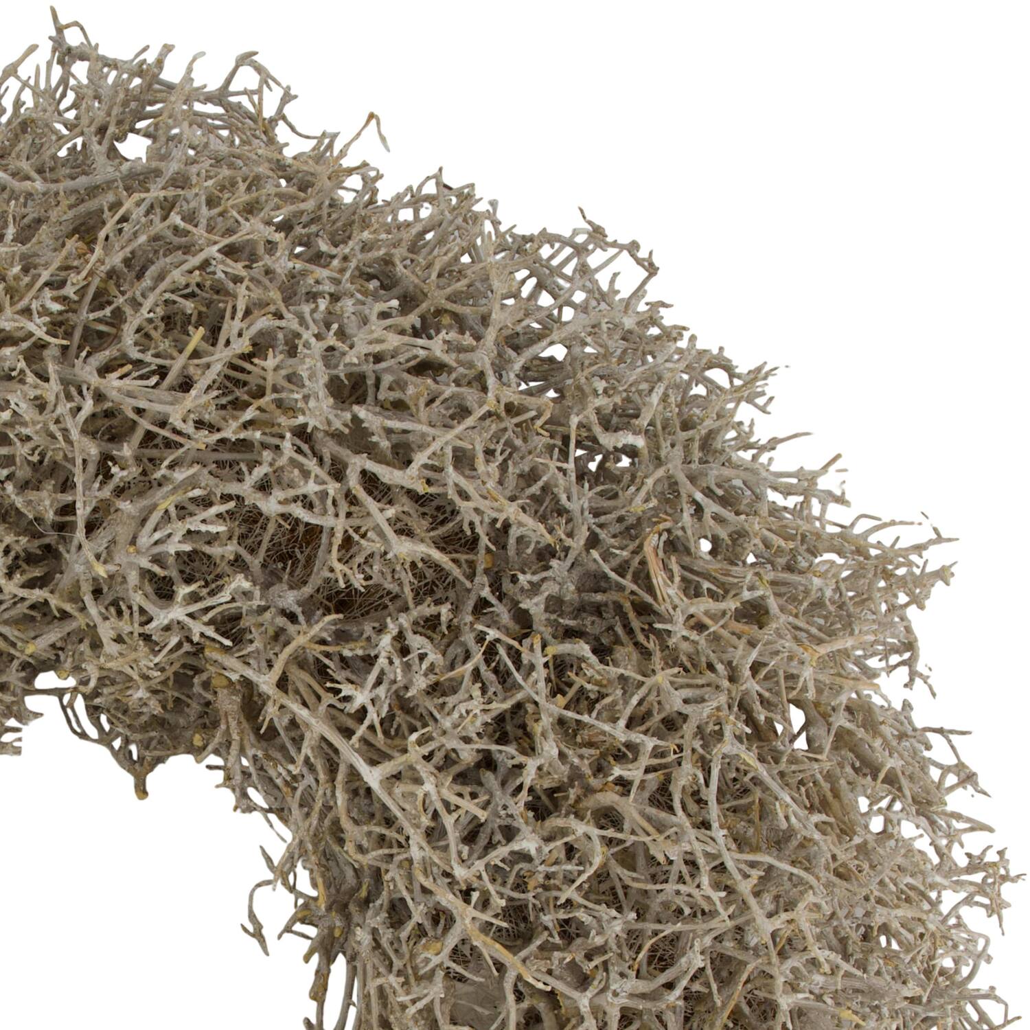 Wreath dry tree nature 55x55x13cm - White