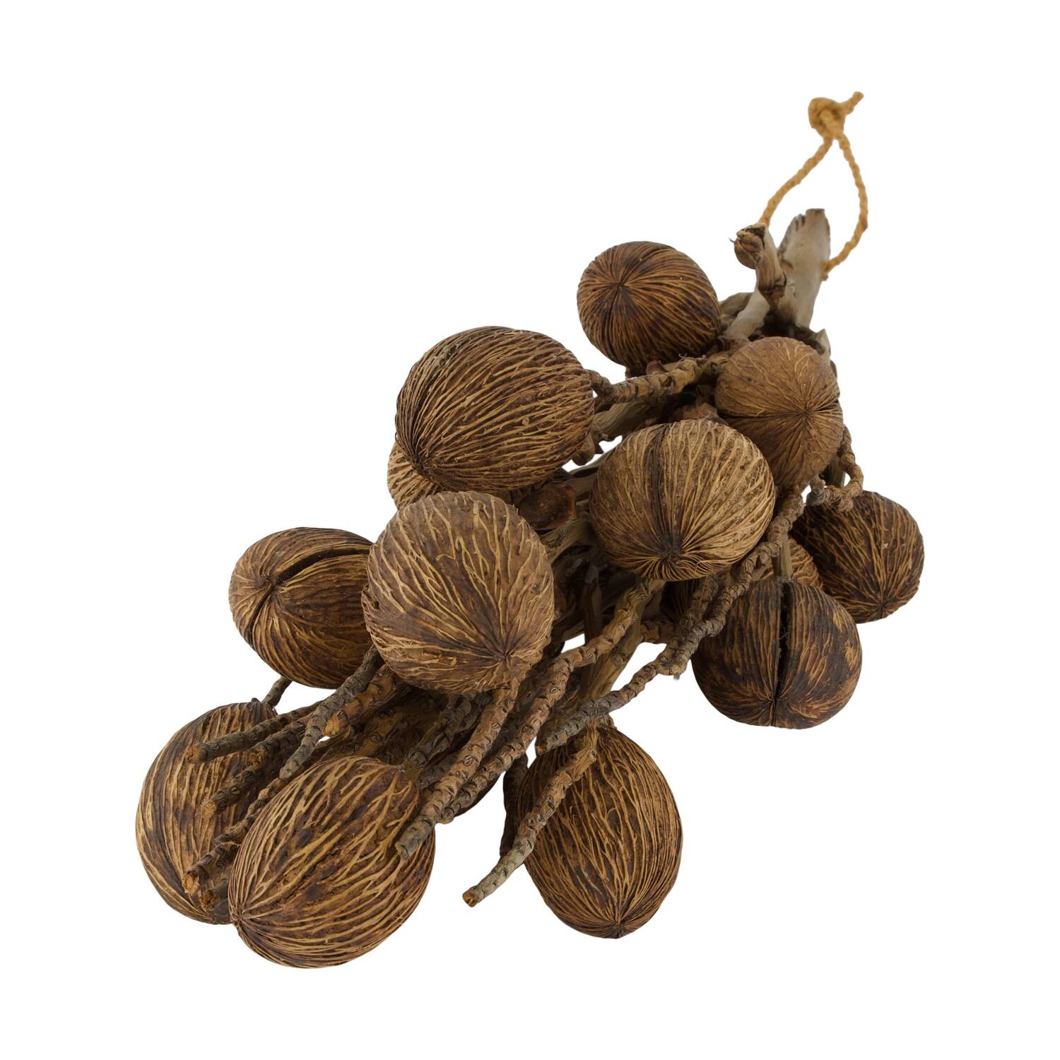 Branch with mintola ball coco 65x20x10cm - Natural