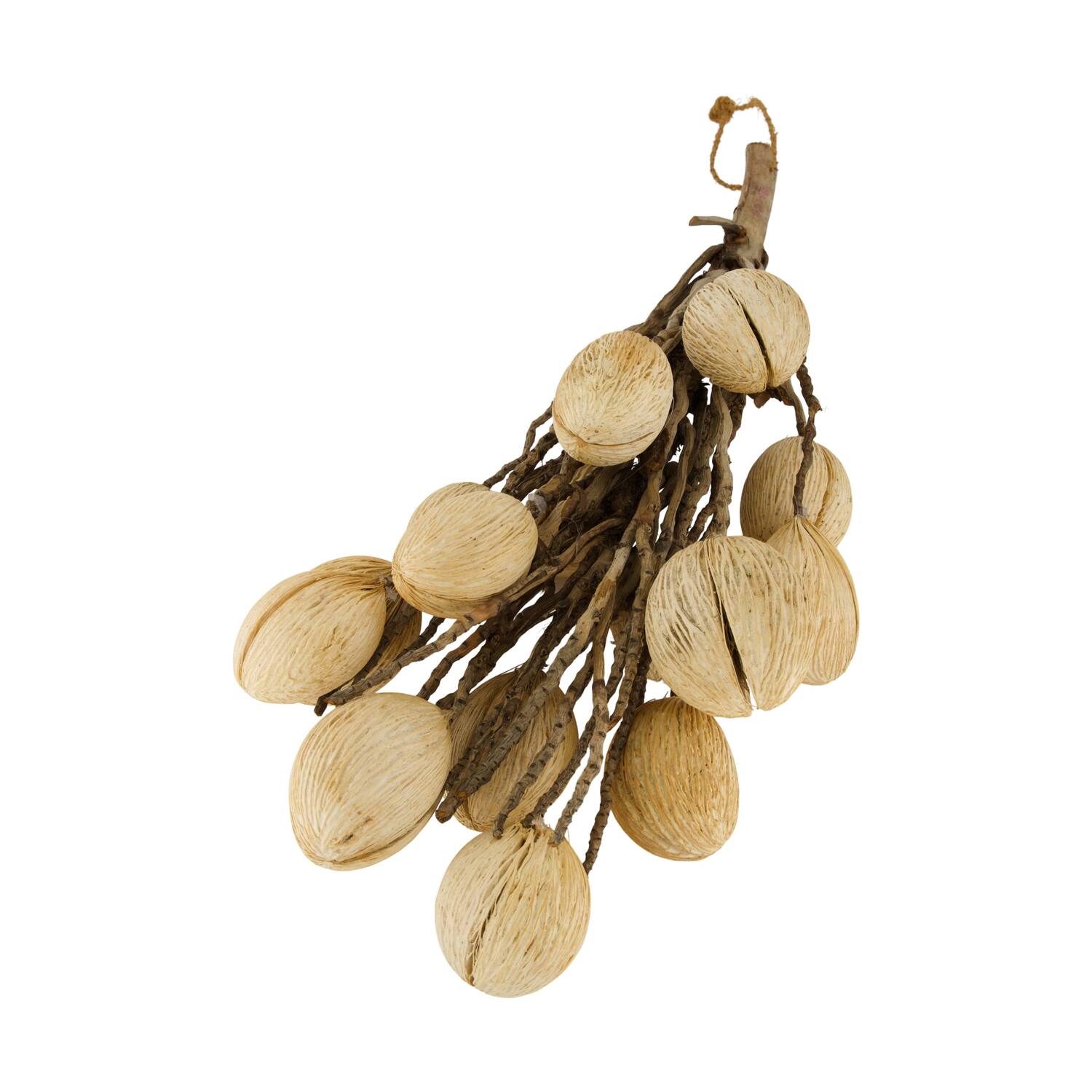 Branch with mintola ball coco 65x20x10cm - Cream