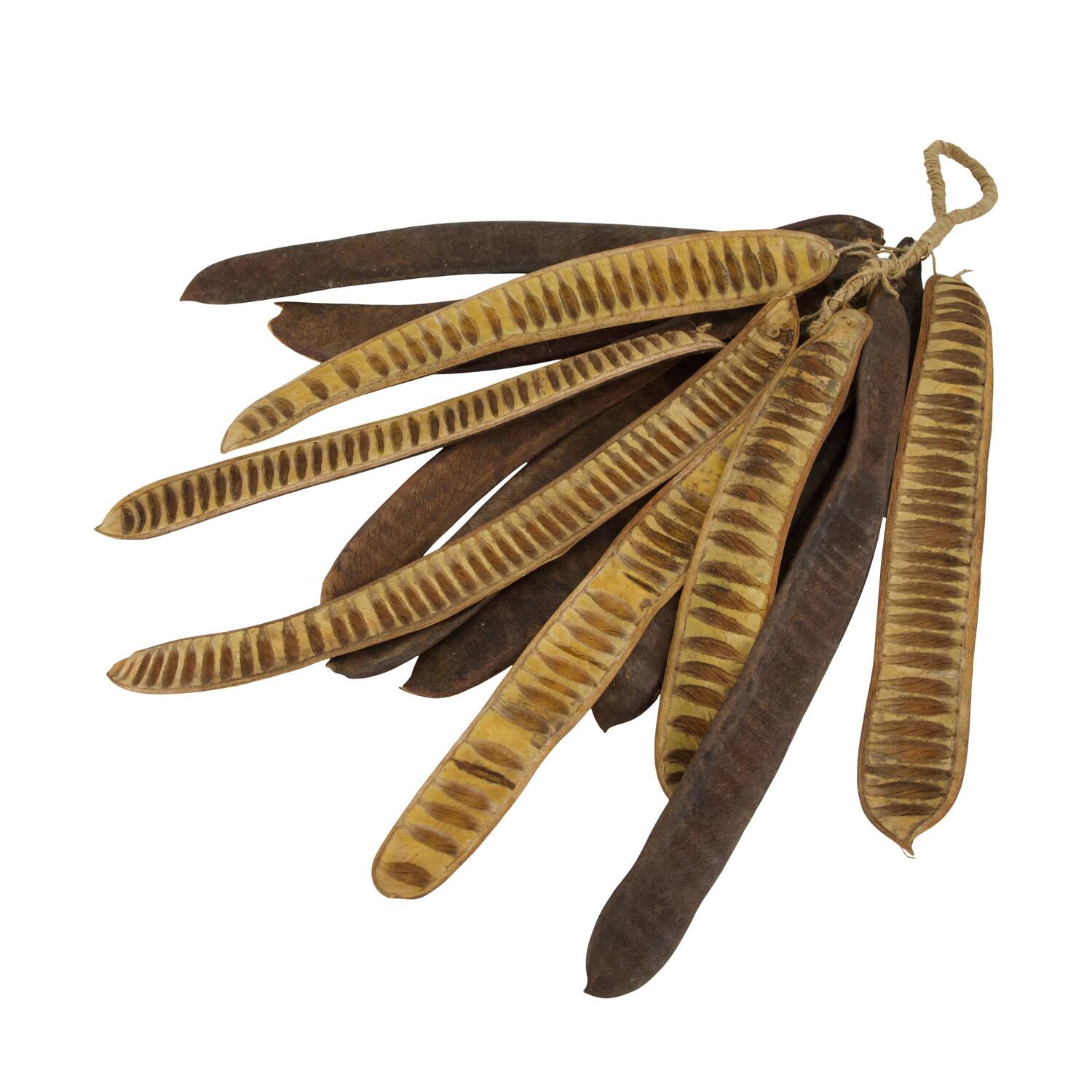 Hanger step fruit nature 75x17x8cm 14pc - Natural