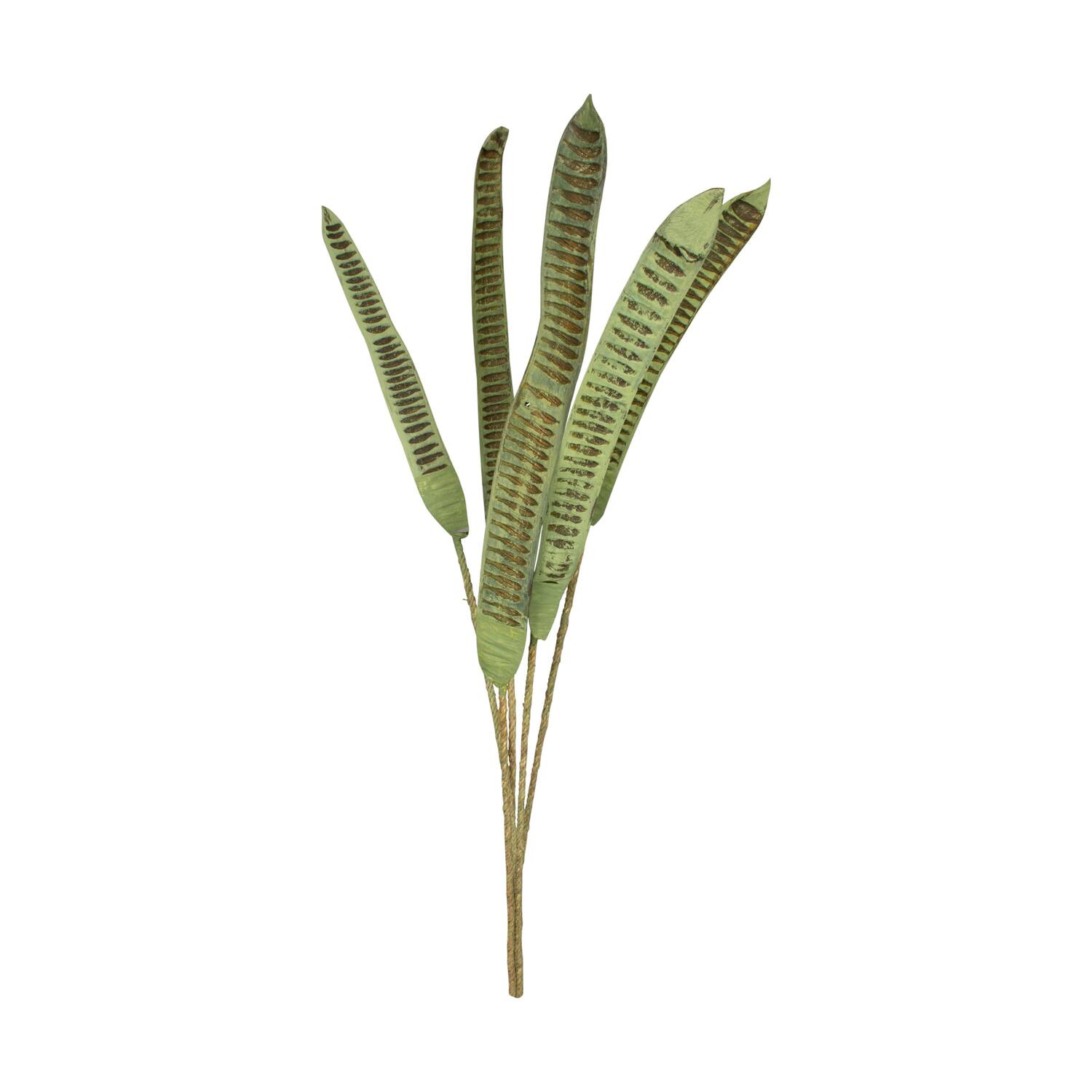 Branch step fruit vizy rope with wire nature 100x20x4cm 5pc