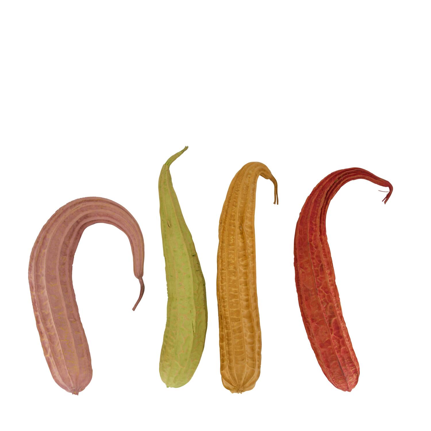 Fruit mix jhinga giant painted nature 43x8x8cm 4pc - Multi