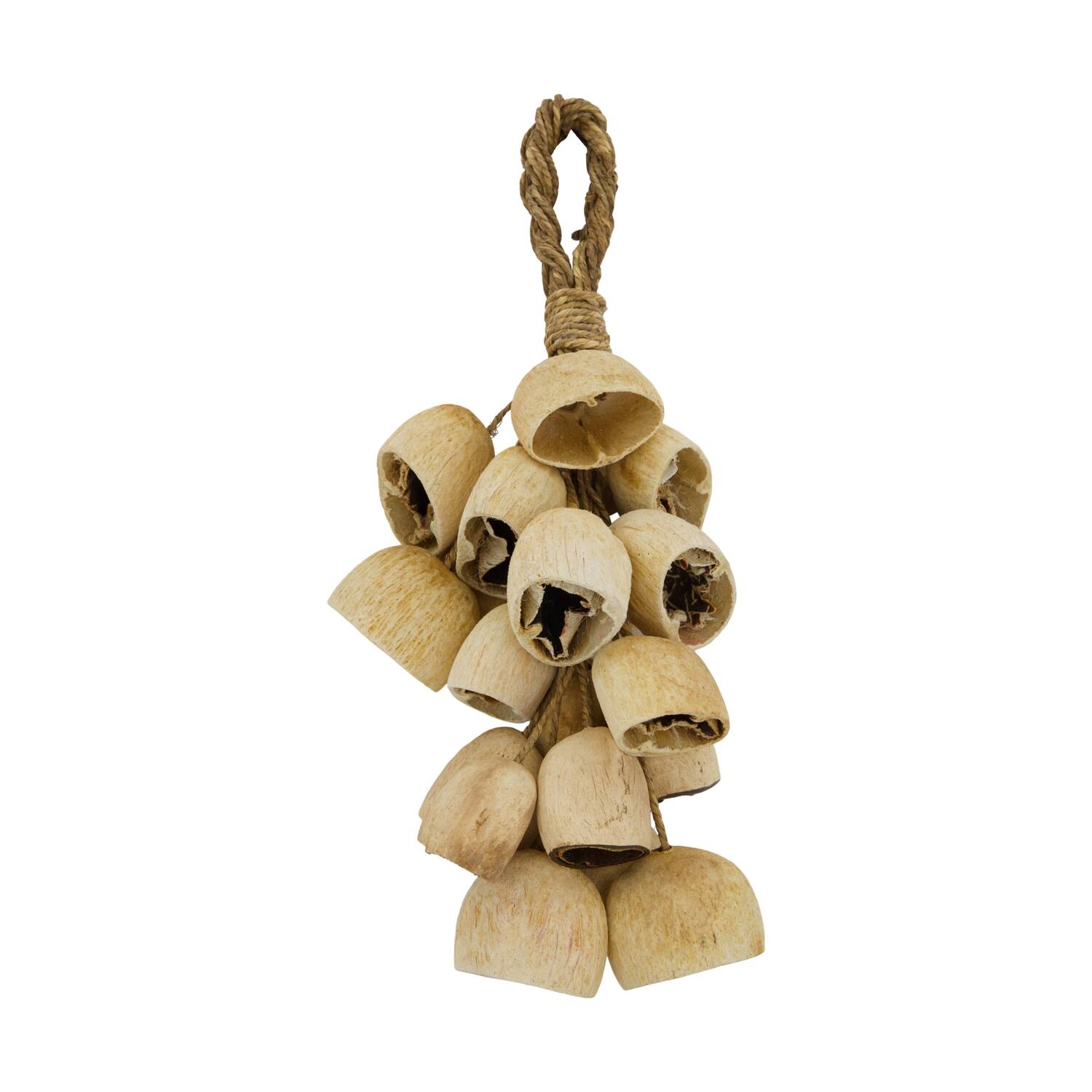 Hanger palm pod nature 55x22x13cm 20pc