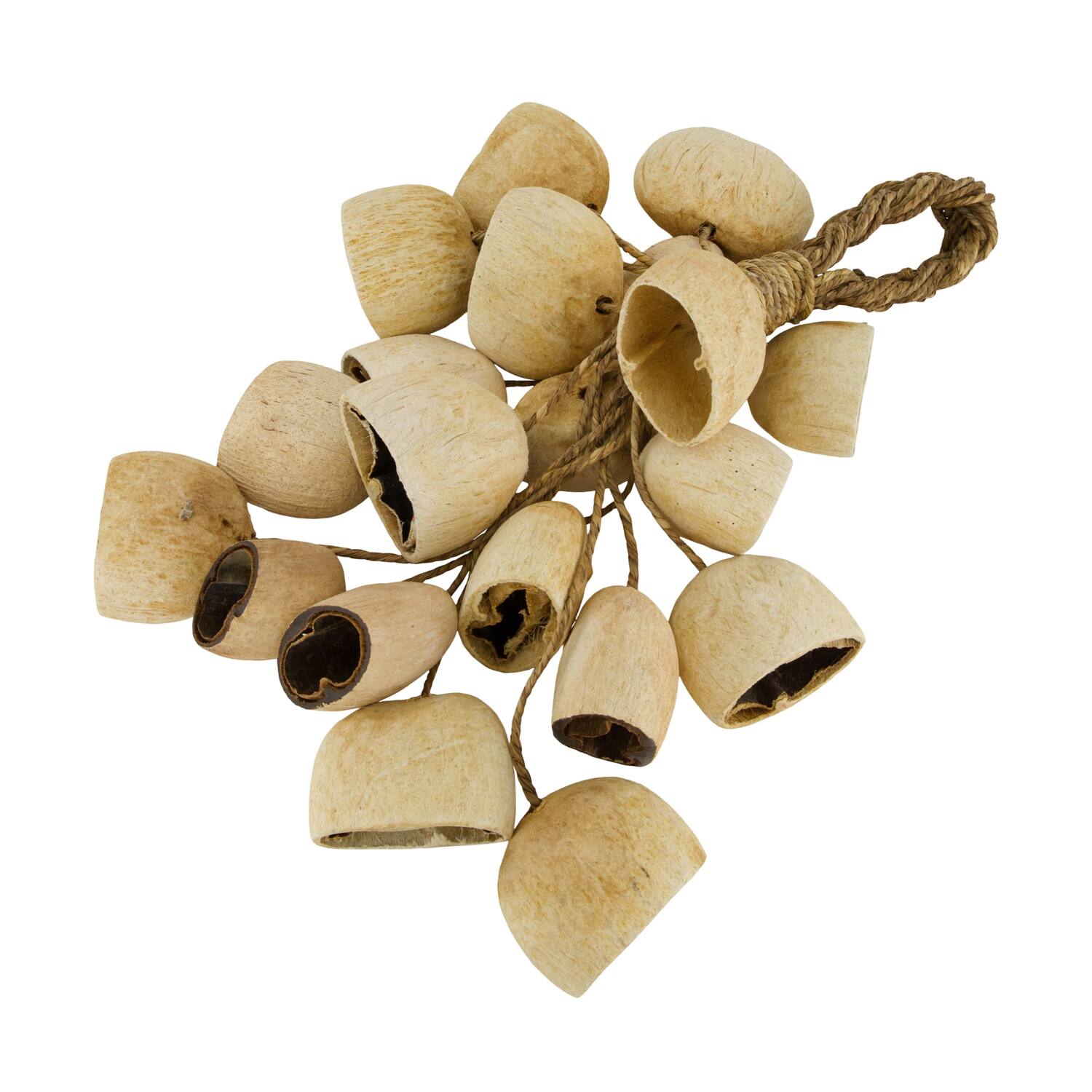 Hanger palm pod nature 55x22x13cm 20pc